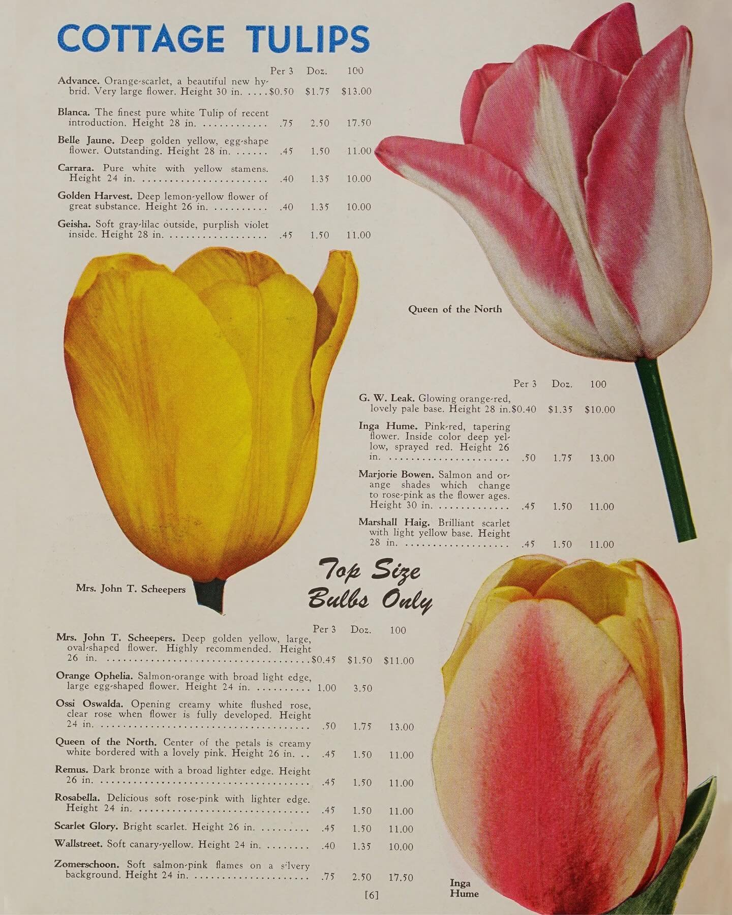 Pages from Zwiep&rsquo;s Tulip Garden Catalog from 1947 and 1948 via Internet Archive 🌷📖🌷 #AllKinds_Inspiration