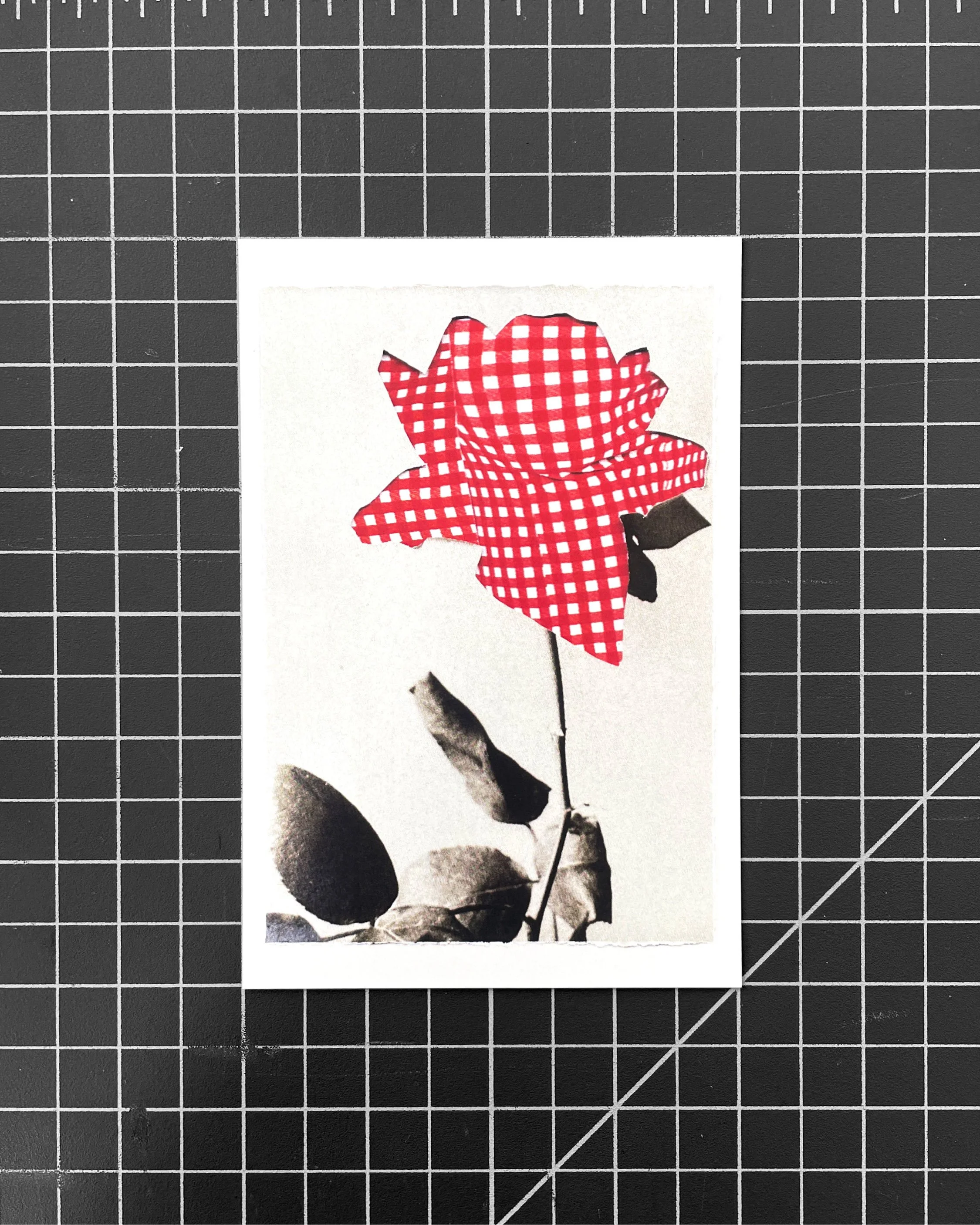 Collage Notecards IG4.jpg