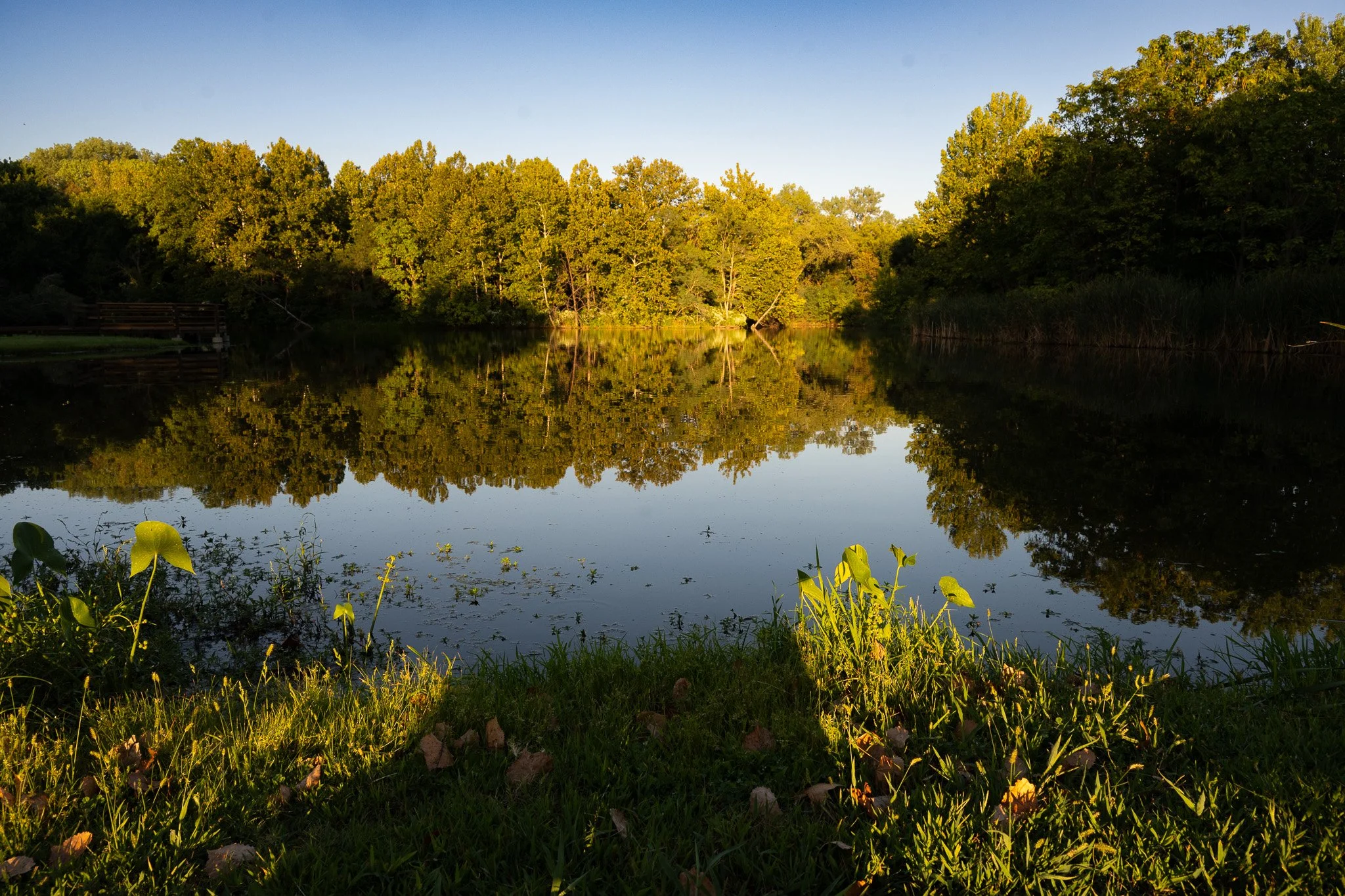 DSC_9445-2.jpg