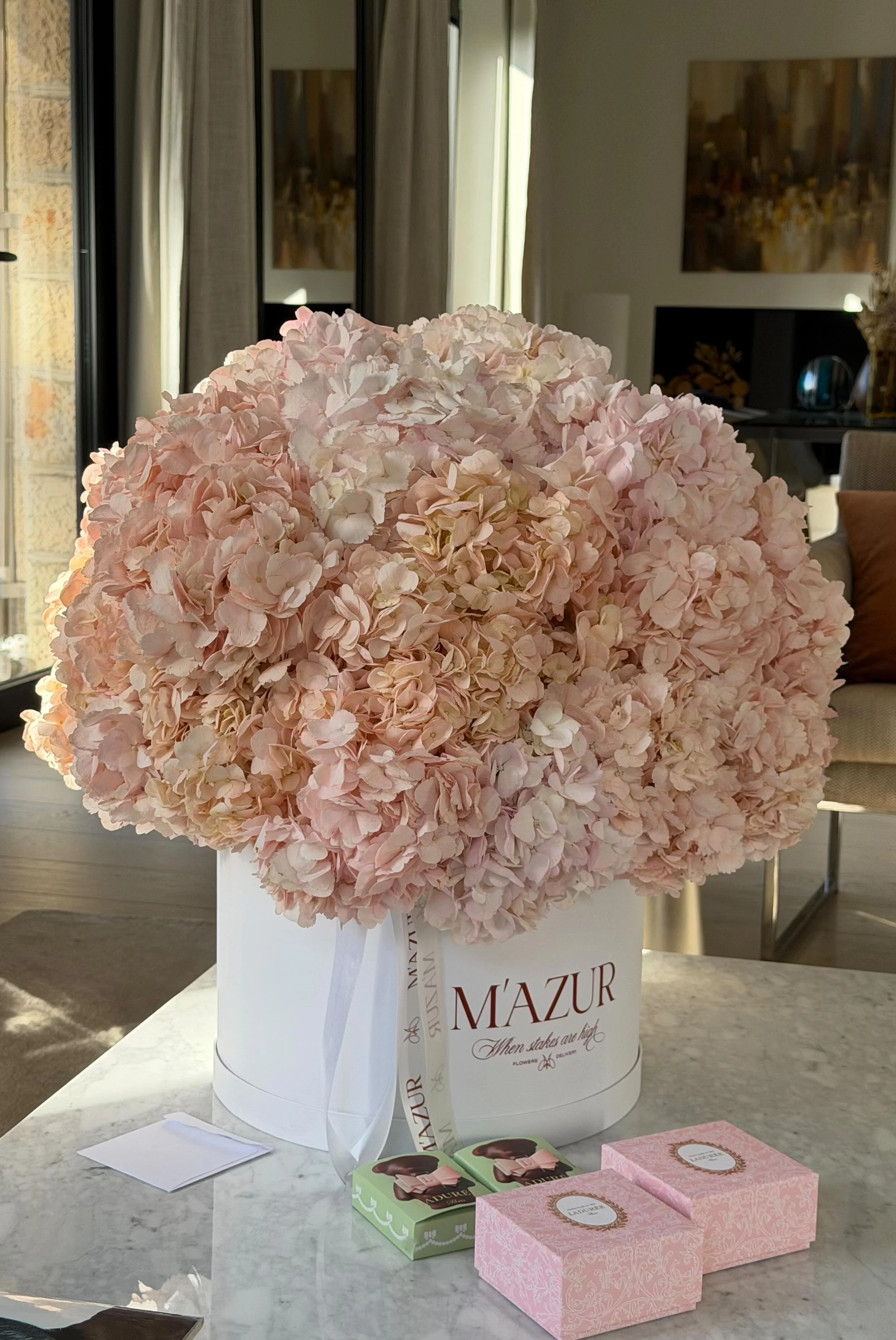 D6B91369-BDA2-456F-87F4-EE5664752AF9.jpeg (Copie)