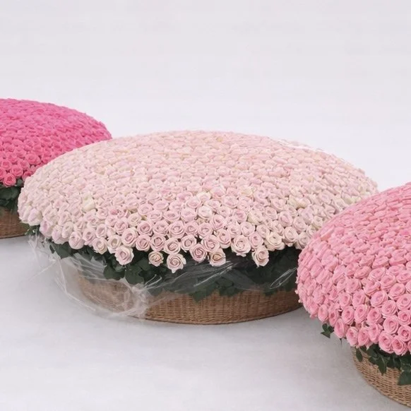 A91E10BF-4C3F-4C01-B879-875B3693D6EF.jpeg (Copie)