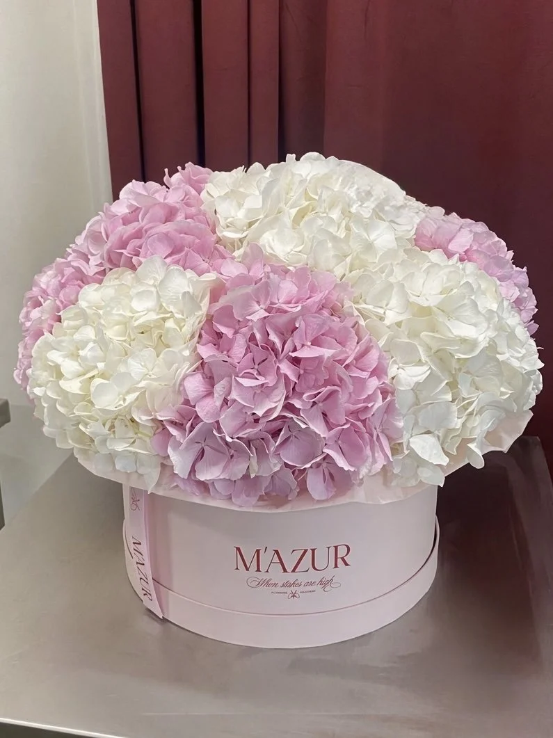 Hydrangea mix in a box