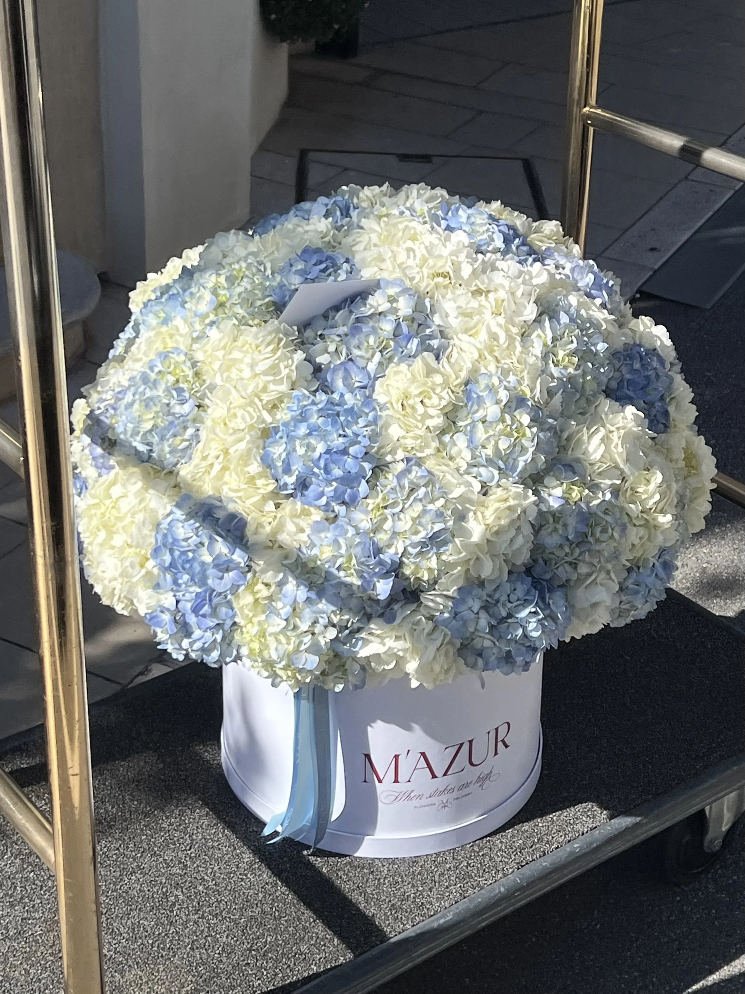 Гортензии в коробке 3XL