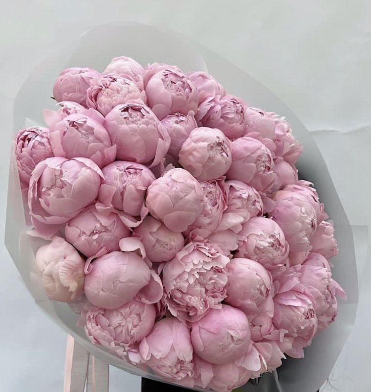 Пион Pillow Talk Soft Pink 25 шт