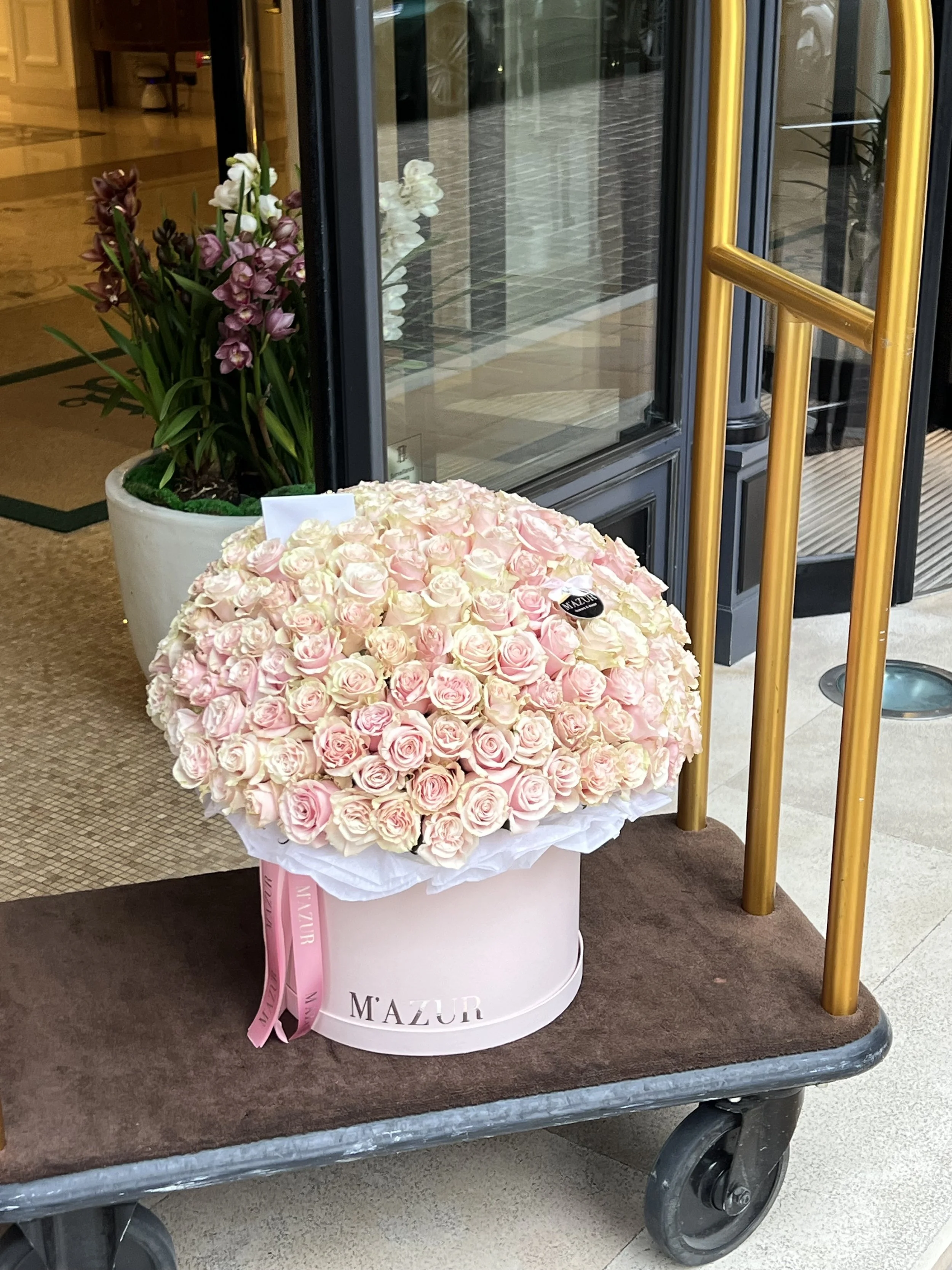 200 roses Pink Mondial dans une boîte