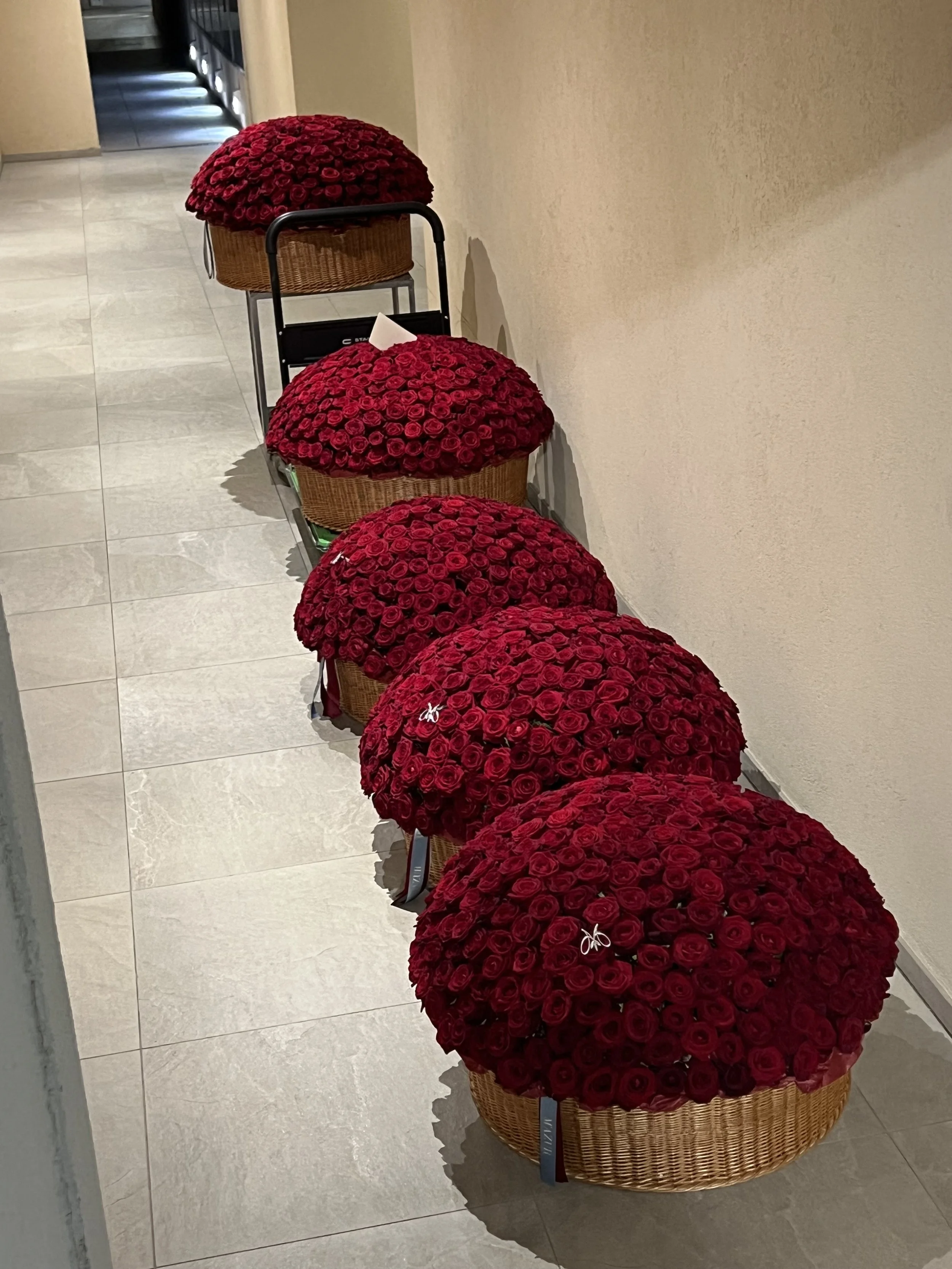 IMG_3037.jpeg (Copie)