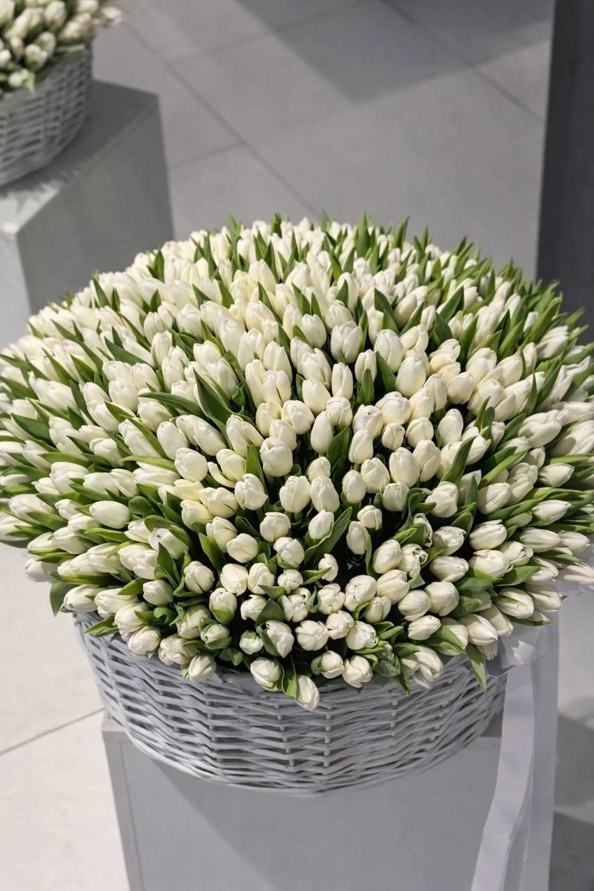 Белые тюльпаны в корзине