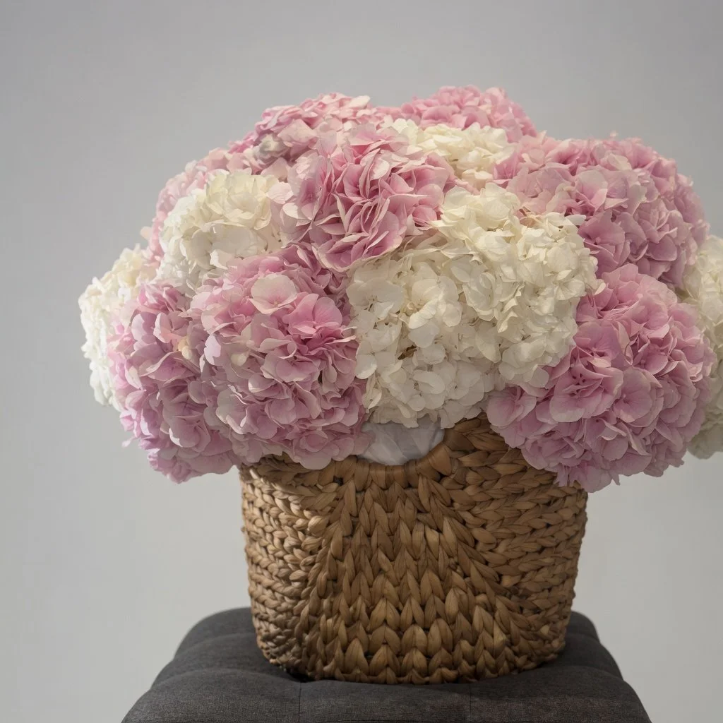 Basket Hydrangeas