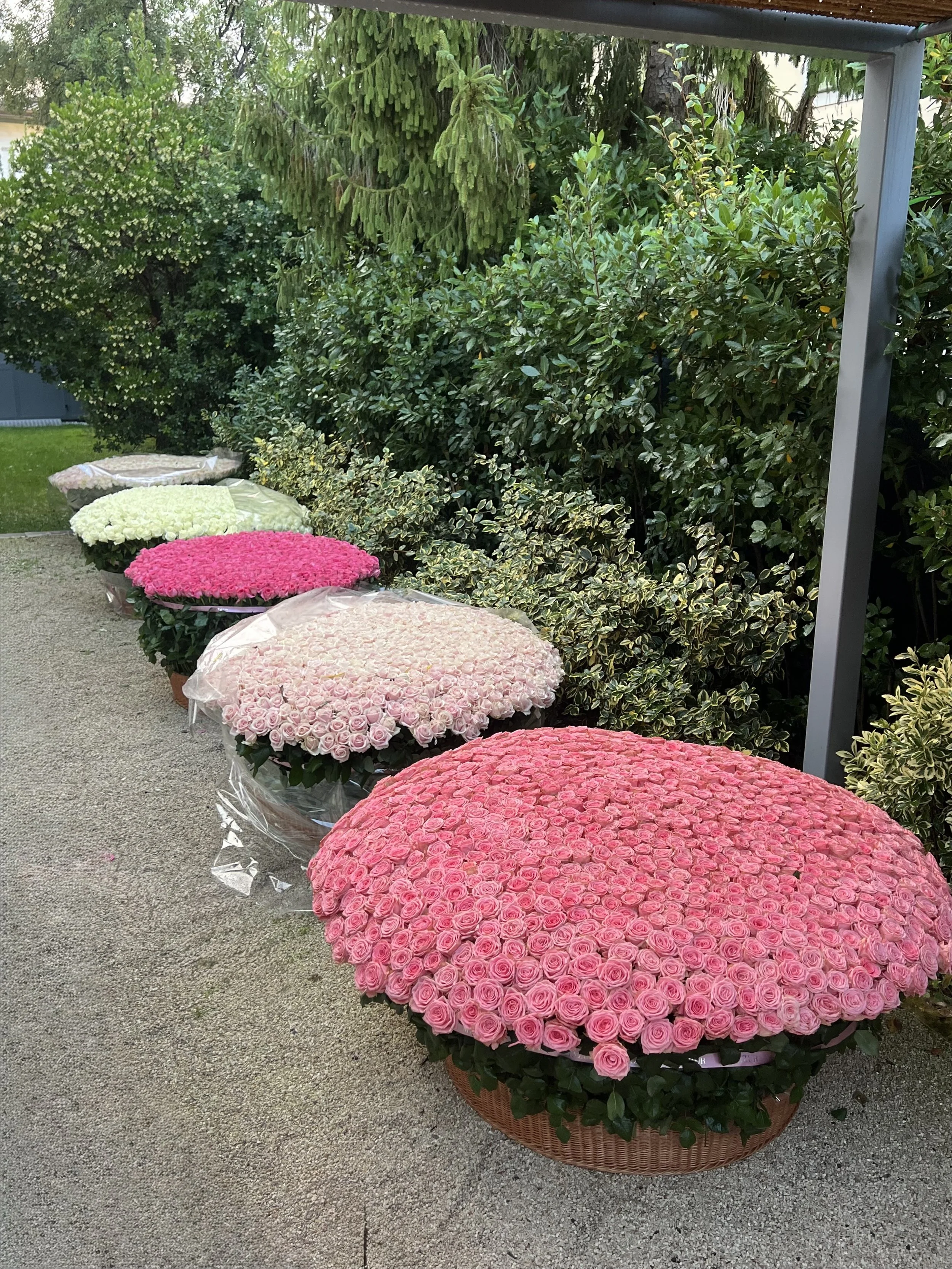 1001 Roses dans un panier 70 cm