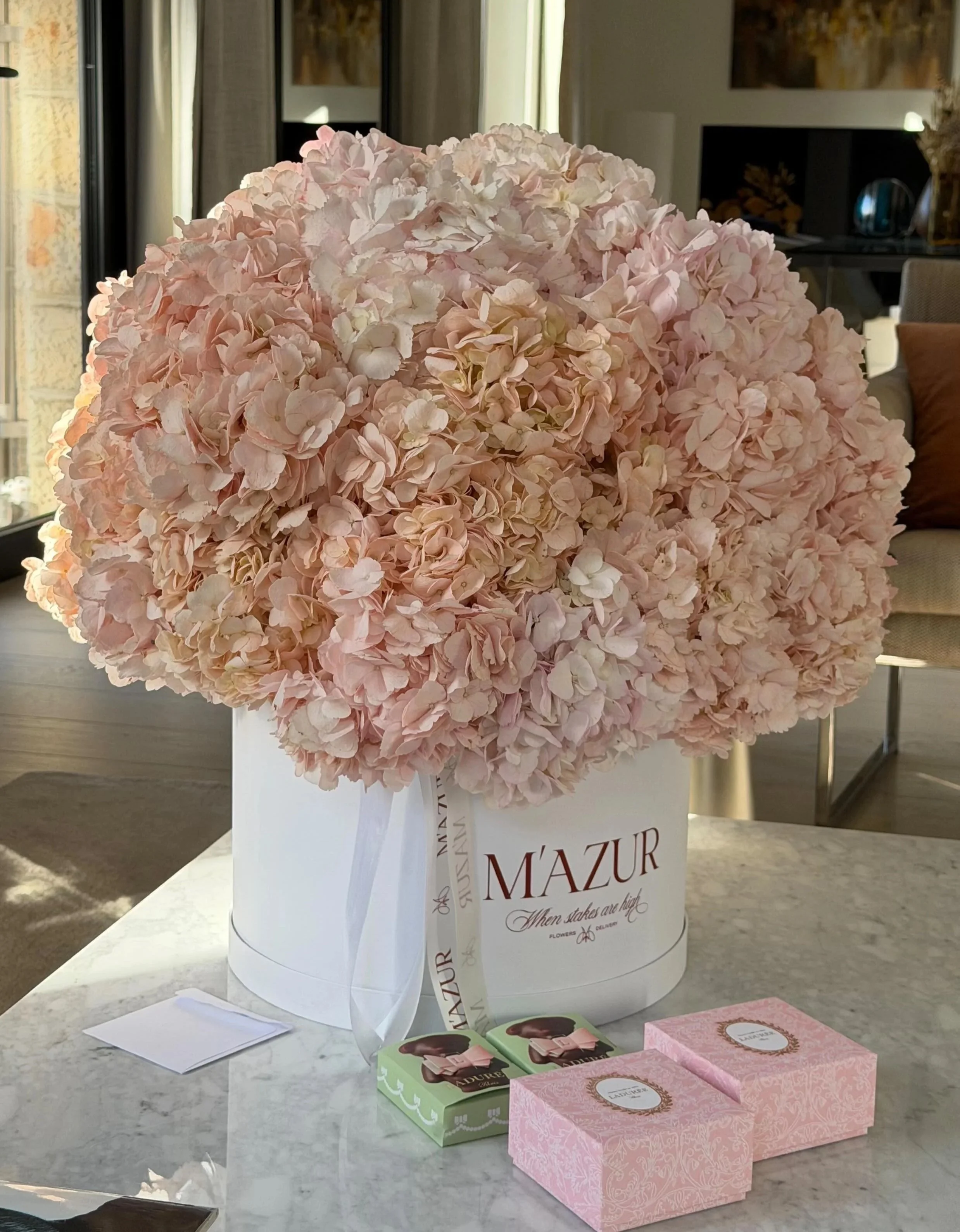 37 Hydrangeas in a box