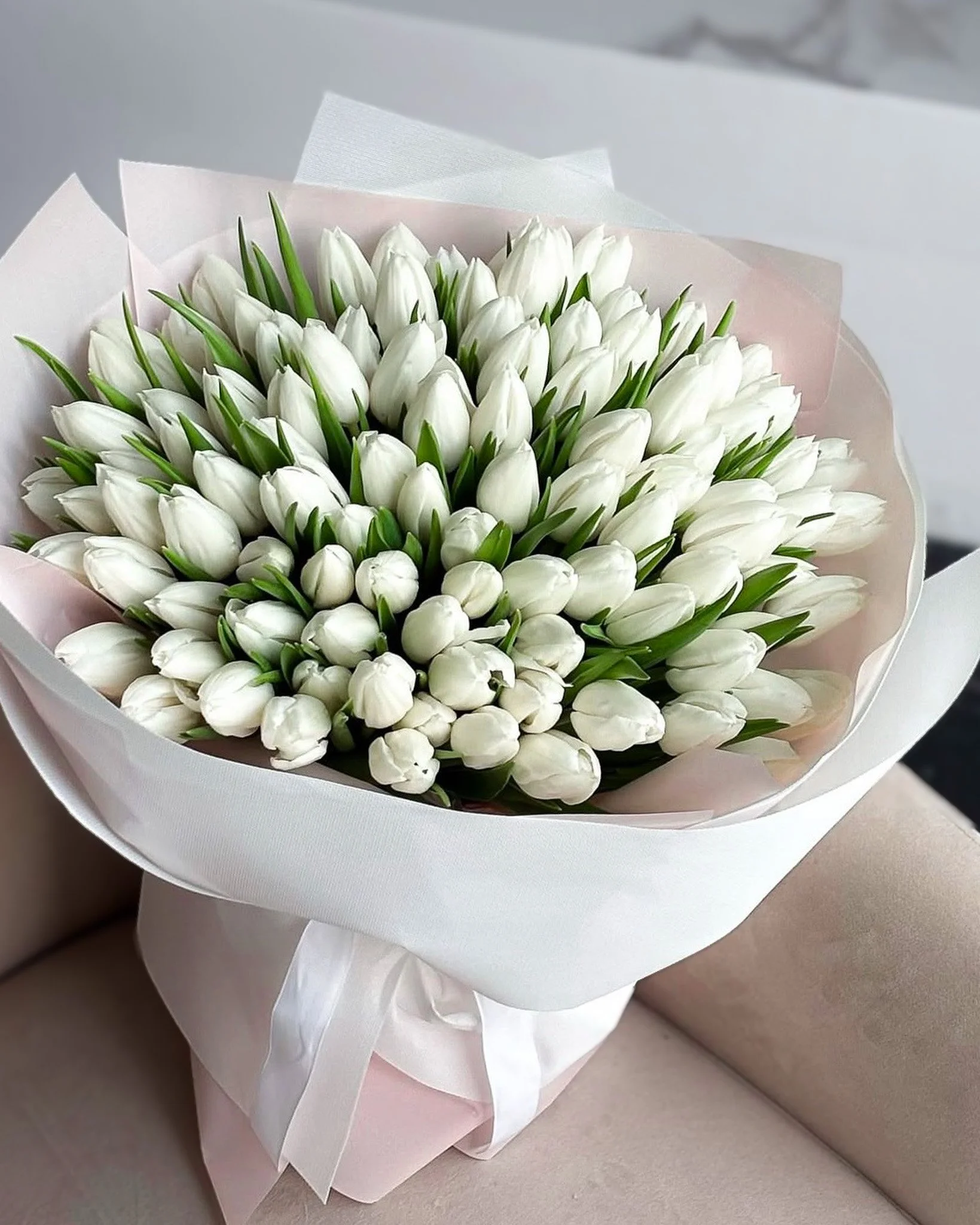 Белые тюльпаны