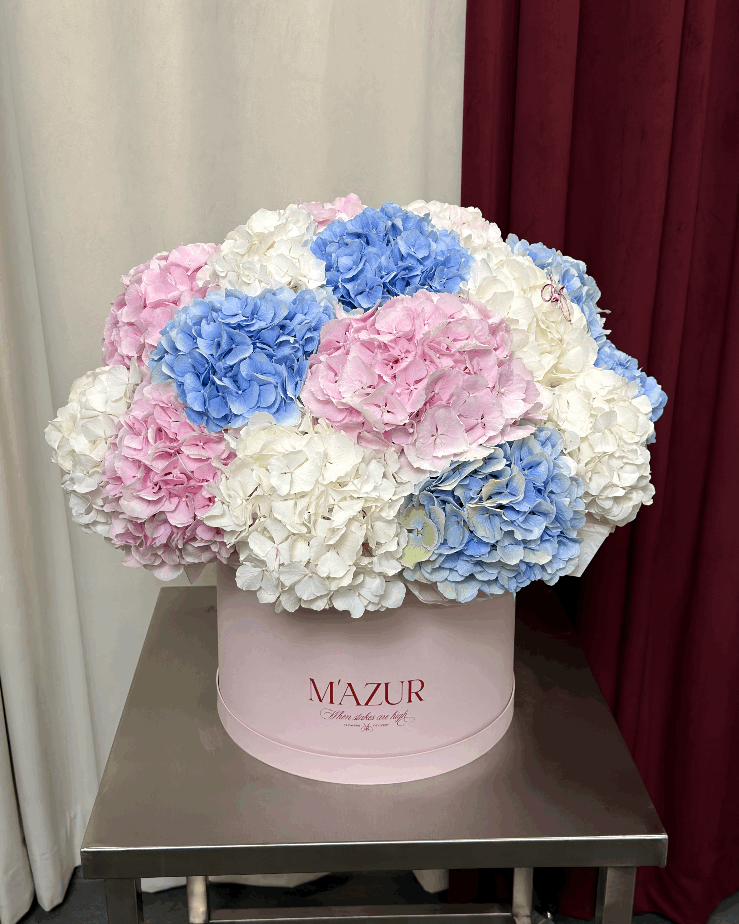 Assorted Hydrangeas in a Box