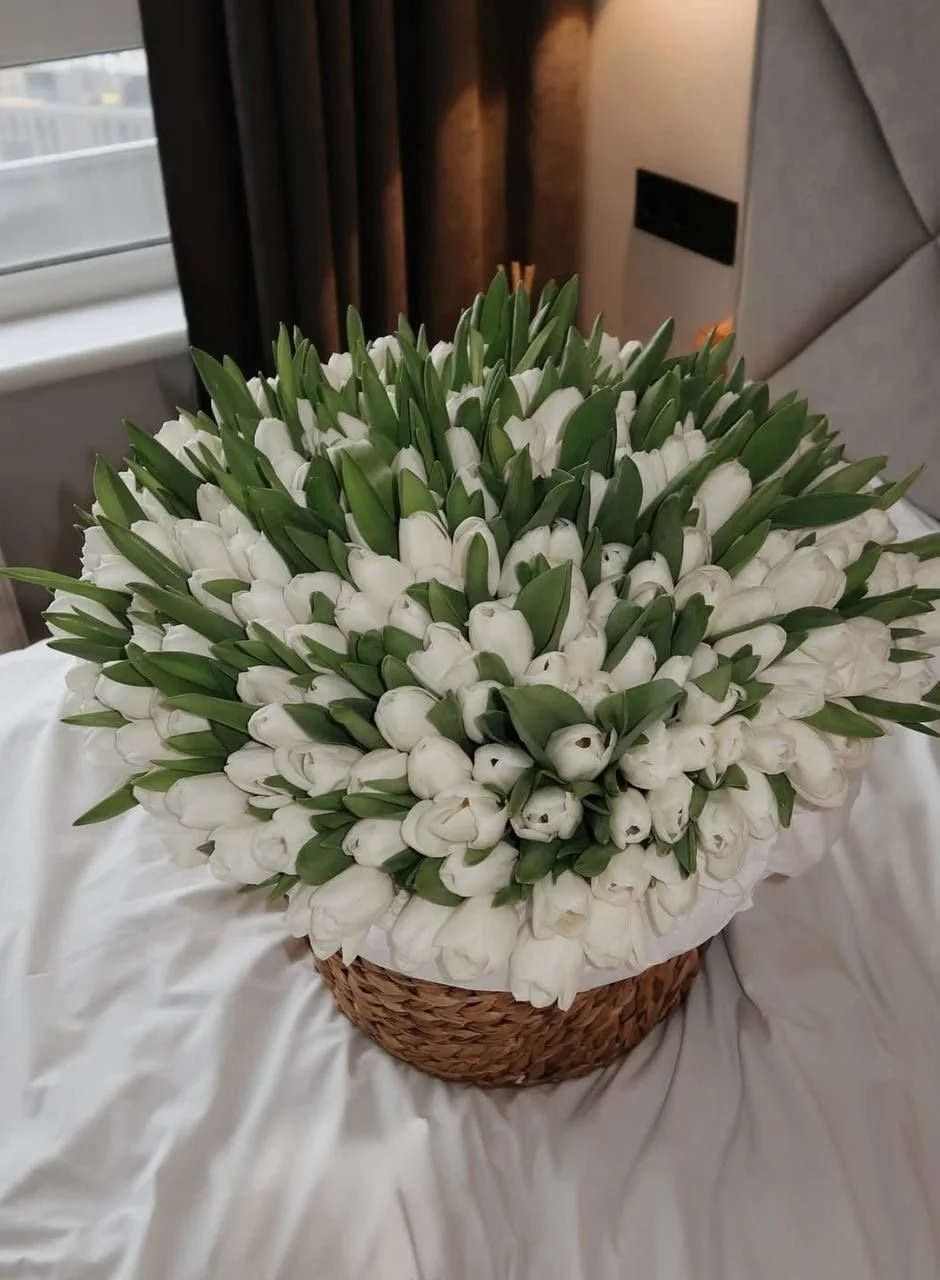 200 tulipes dans un panier