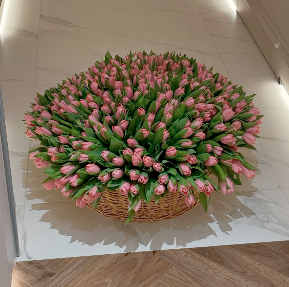 450 Tulips in a Basket