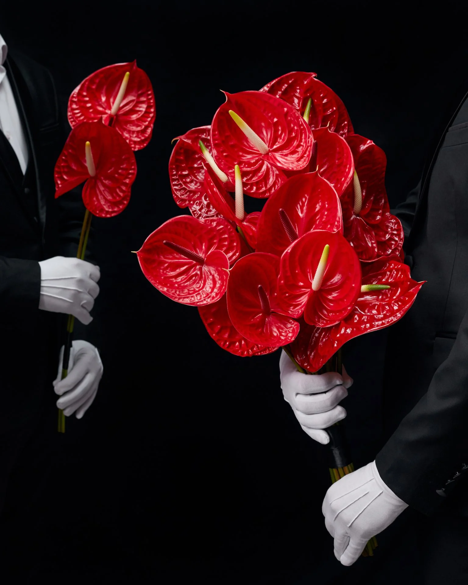 Anthurium Mourning Bouquet