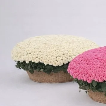 A91E10BF-4C3F-4C01-B879-875B3693D6EF.jpeg (Copie)