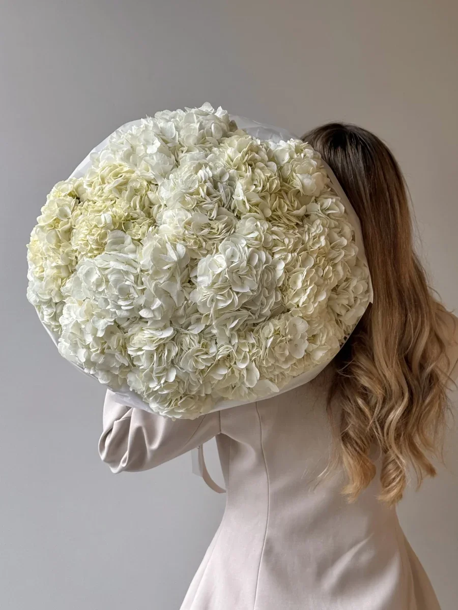 Гортензия Белая