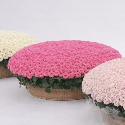 A91E10BF-4C3F-4C01-B879-875B3693D6EF.jpeg (Copie)