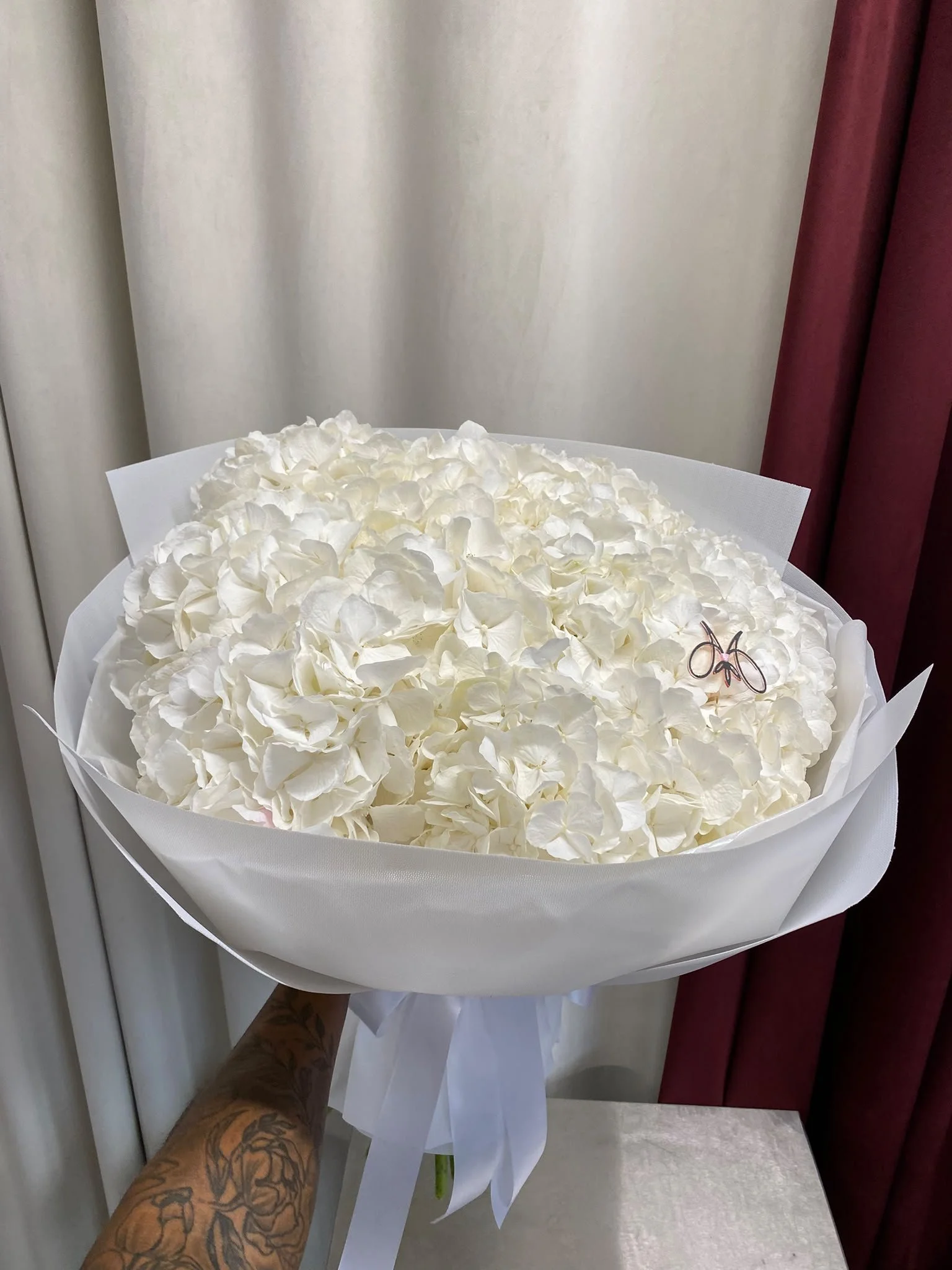 Hydrangea White