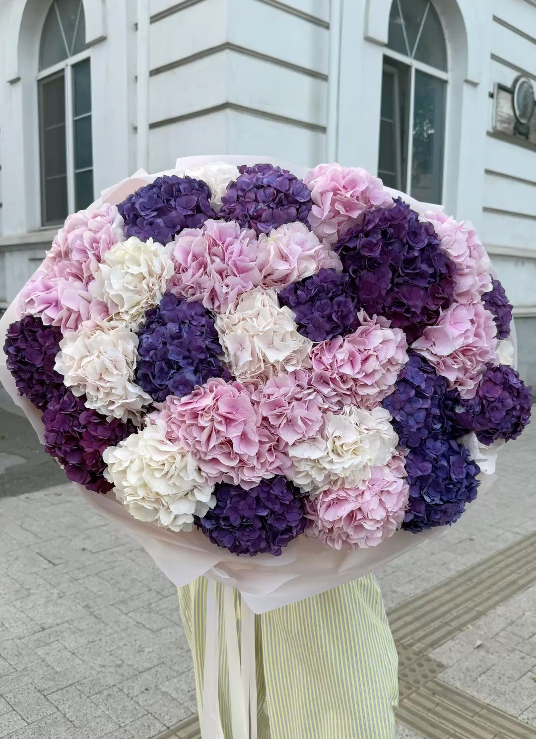 30 mix hydrangeas