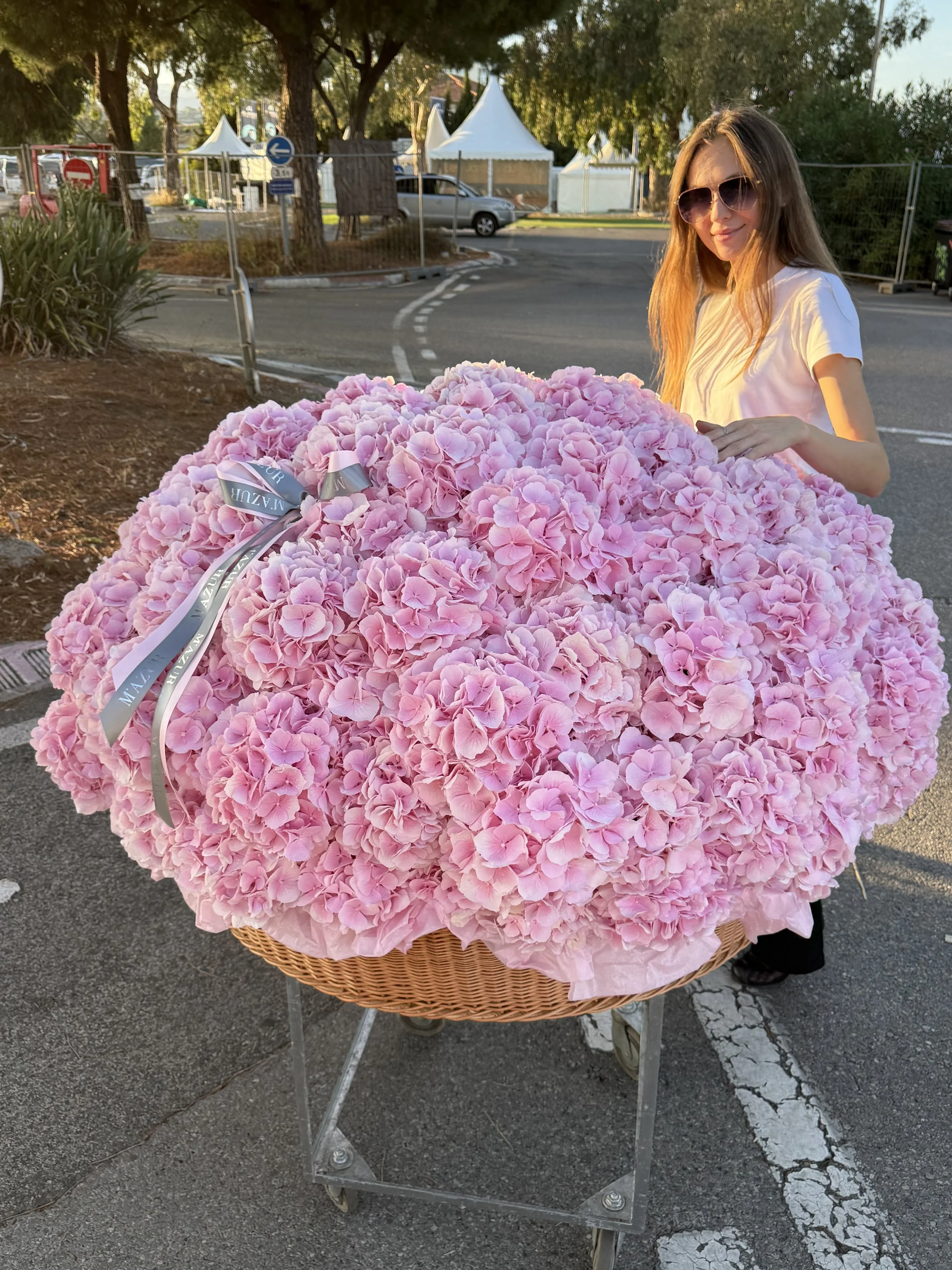 115 hydrangeas in a basket