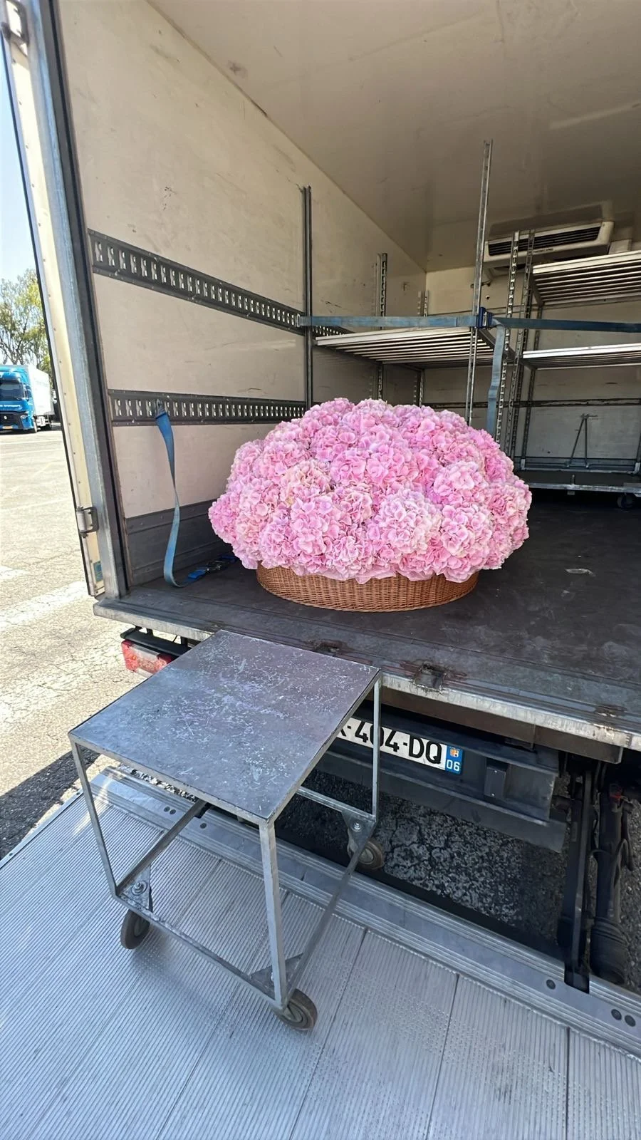 da4b3d34-1b9f-46e1-a9c0-5550dd0b9a5b.jpeg (Copie)