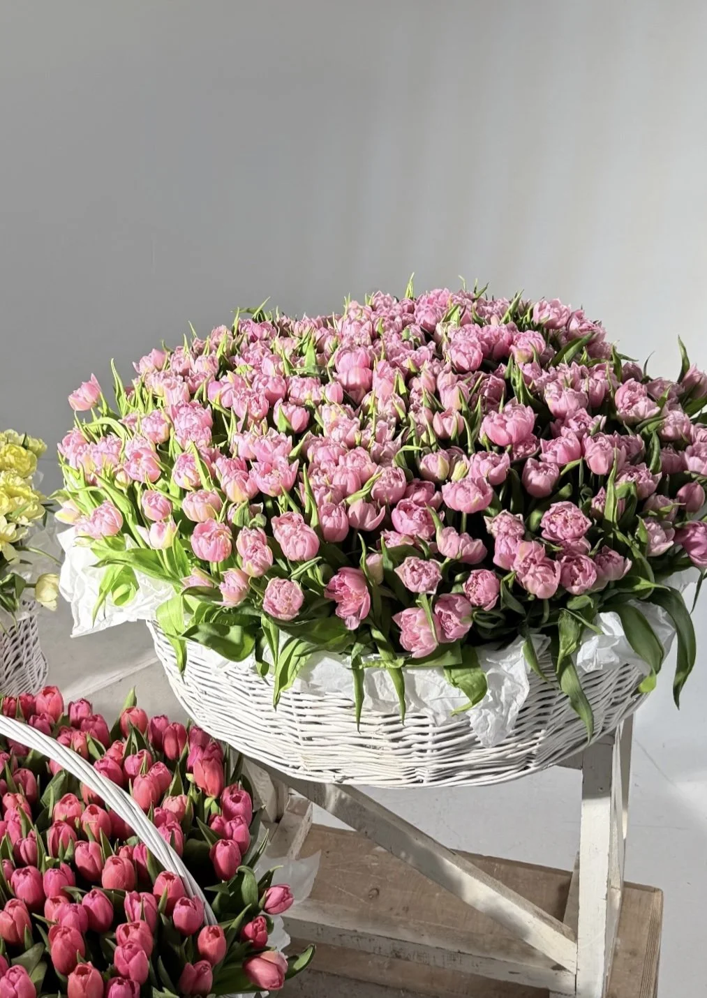 Soft Price Double tulip in basket