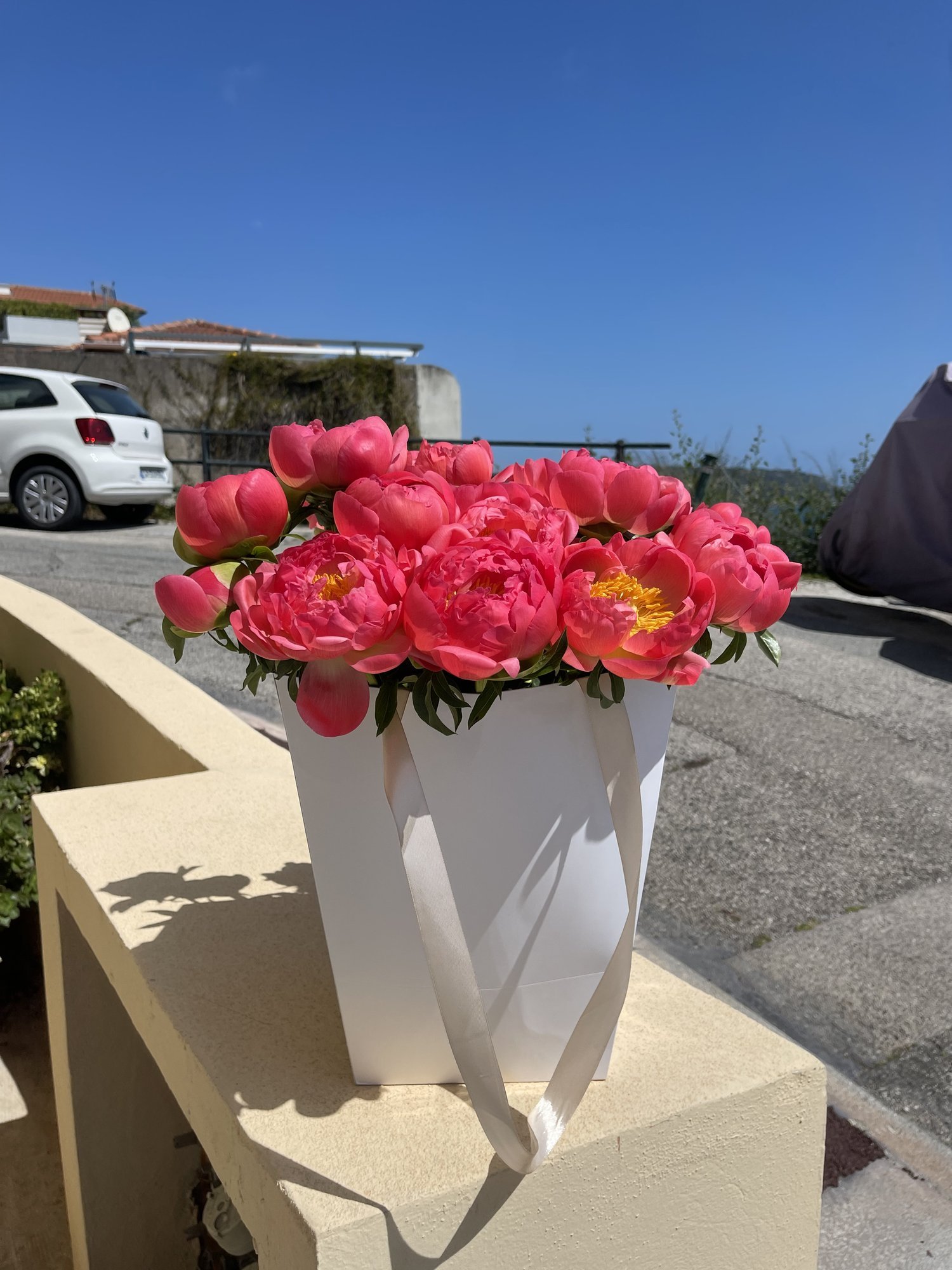 IMG_2829.jpeg