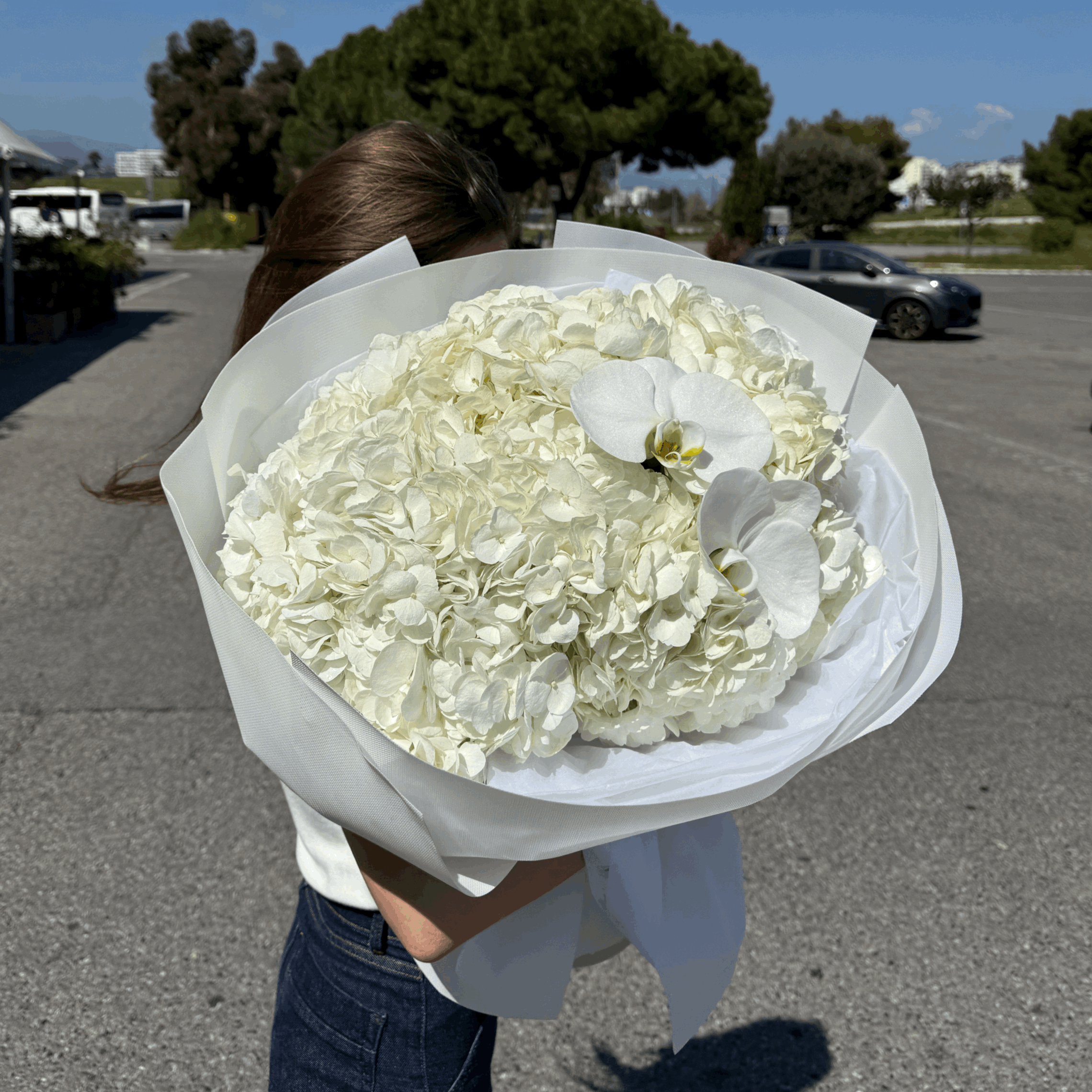 tempImagecerIQF.jpg.