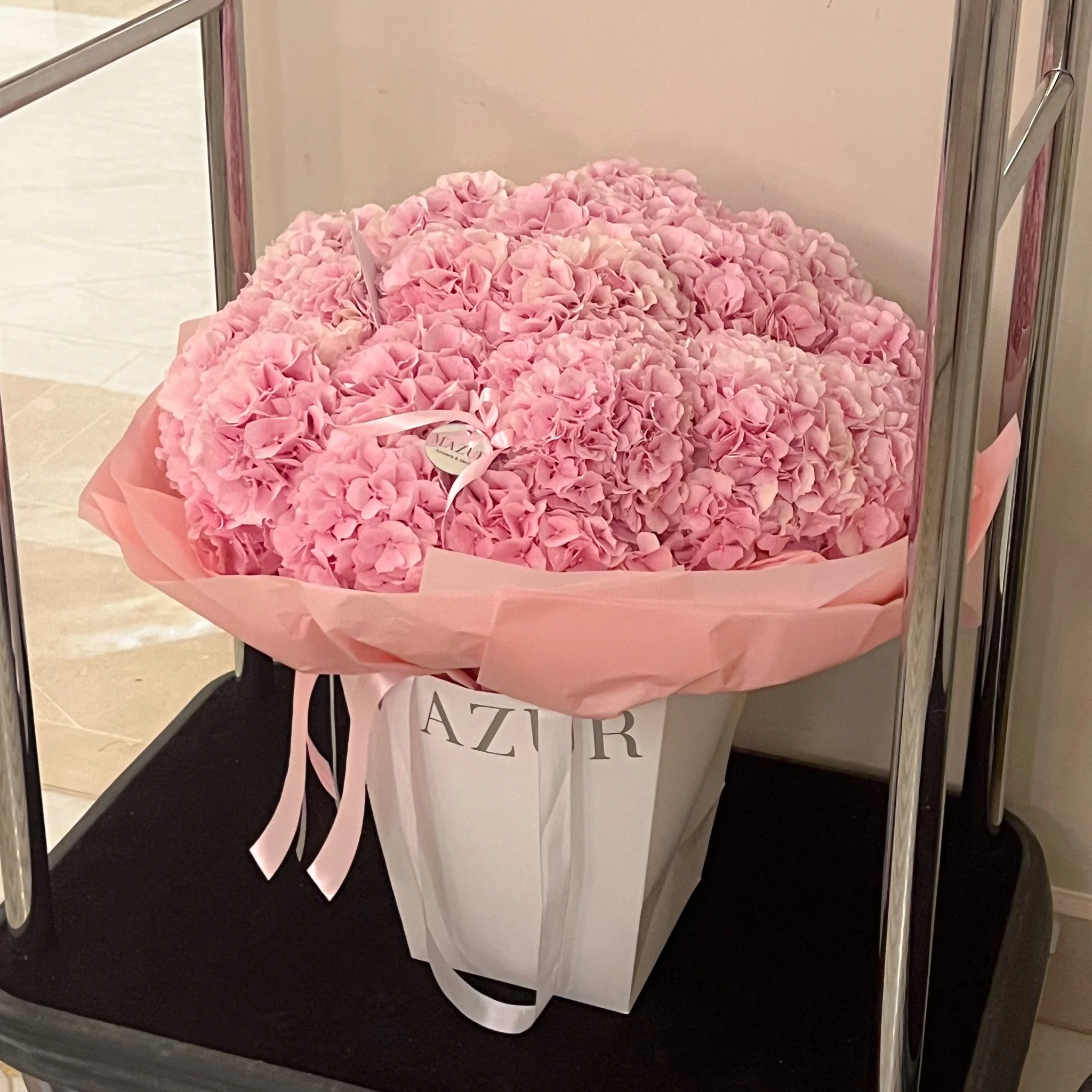 Hydrangea Pink