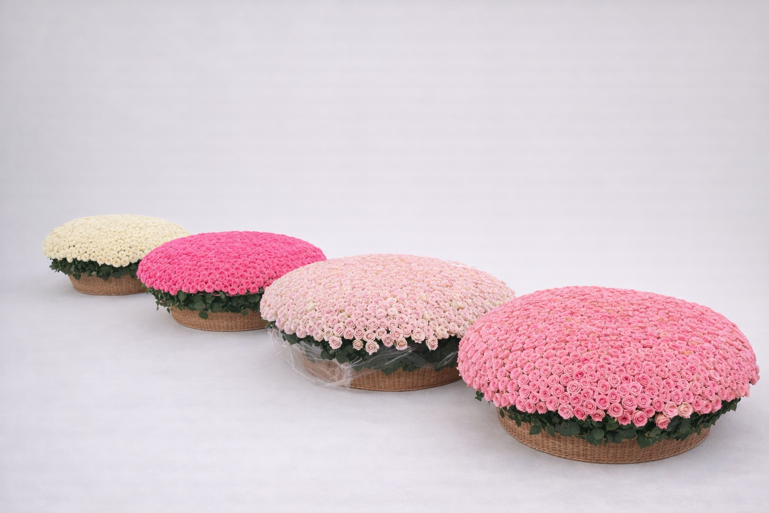 A91E10BF-4C3F-4C01-B879-875B3693D6EF.png (Copie)