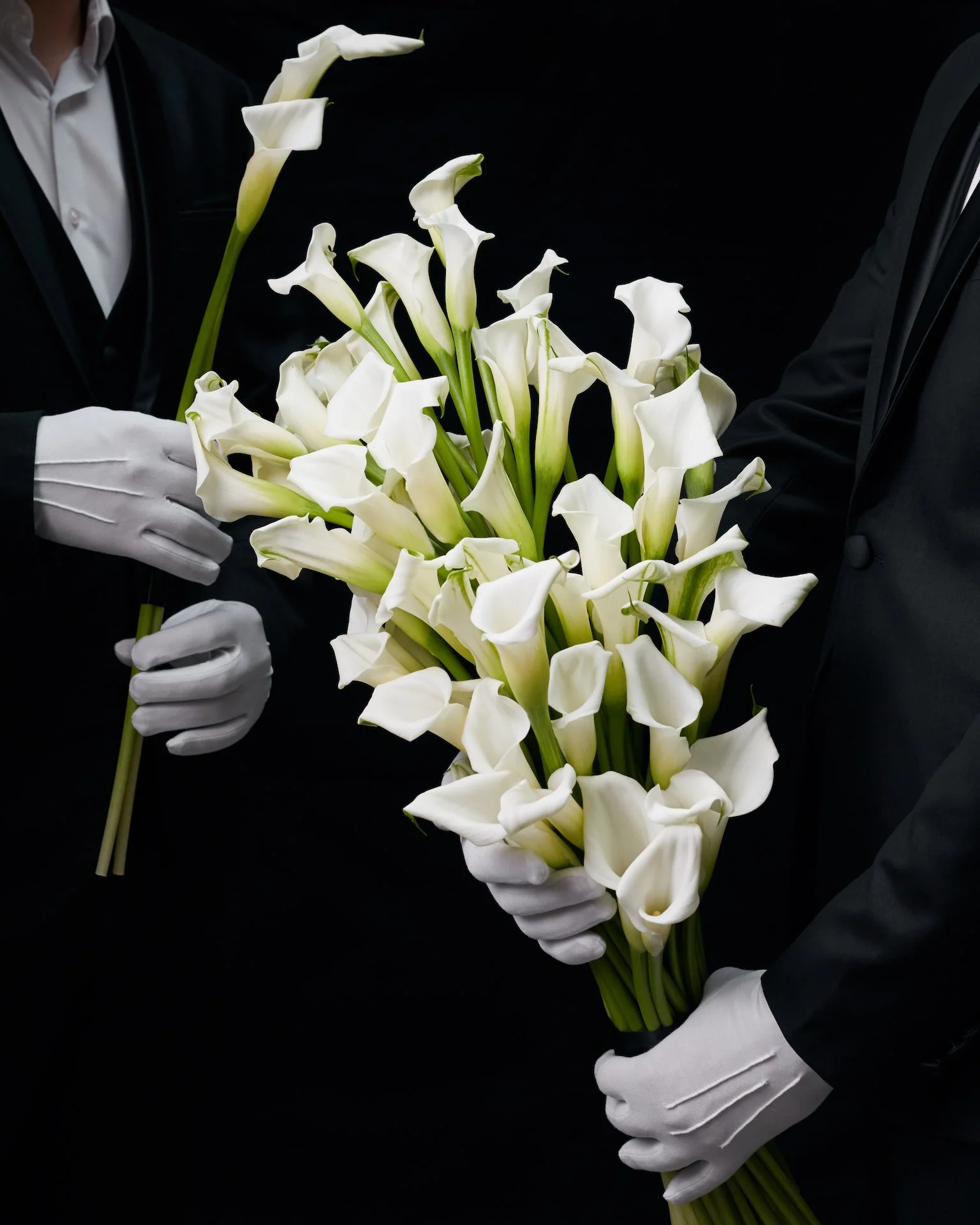 A bouquet of calla lilies