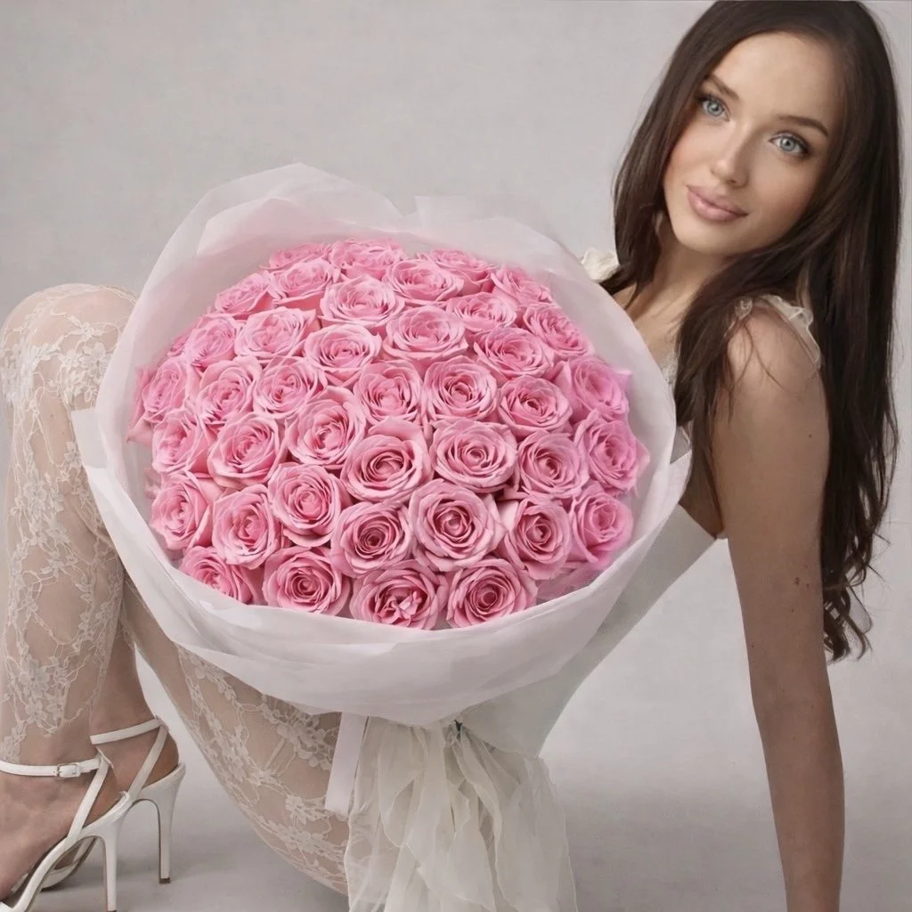 Розы Sophia Loren