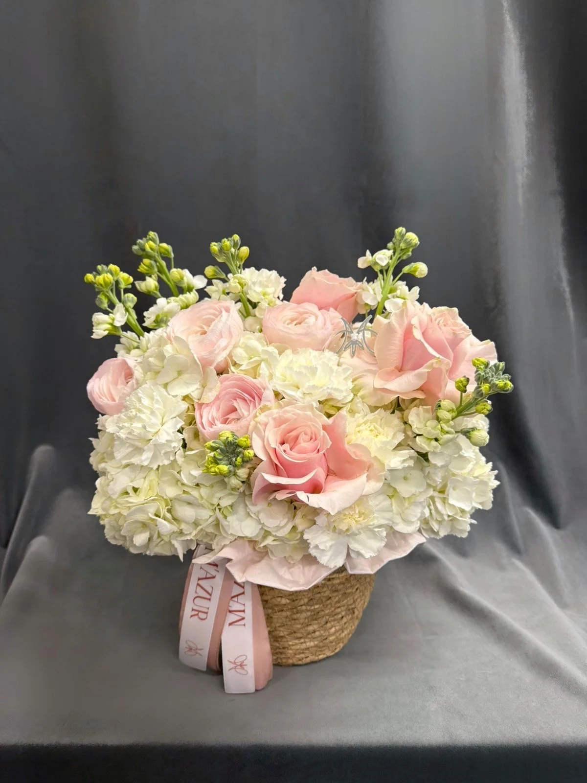 2285a859-9114-454a-a051-5b5f804ce225.jpeg (Copy)