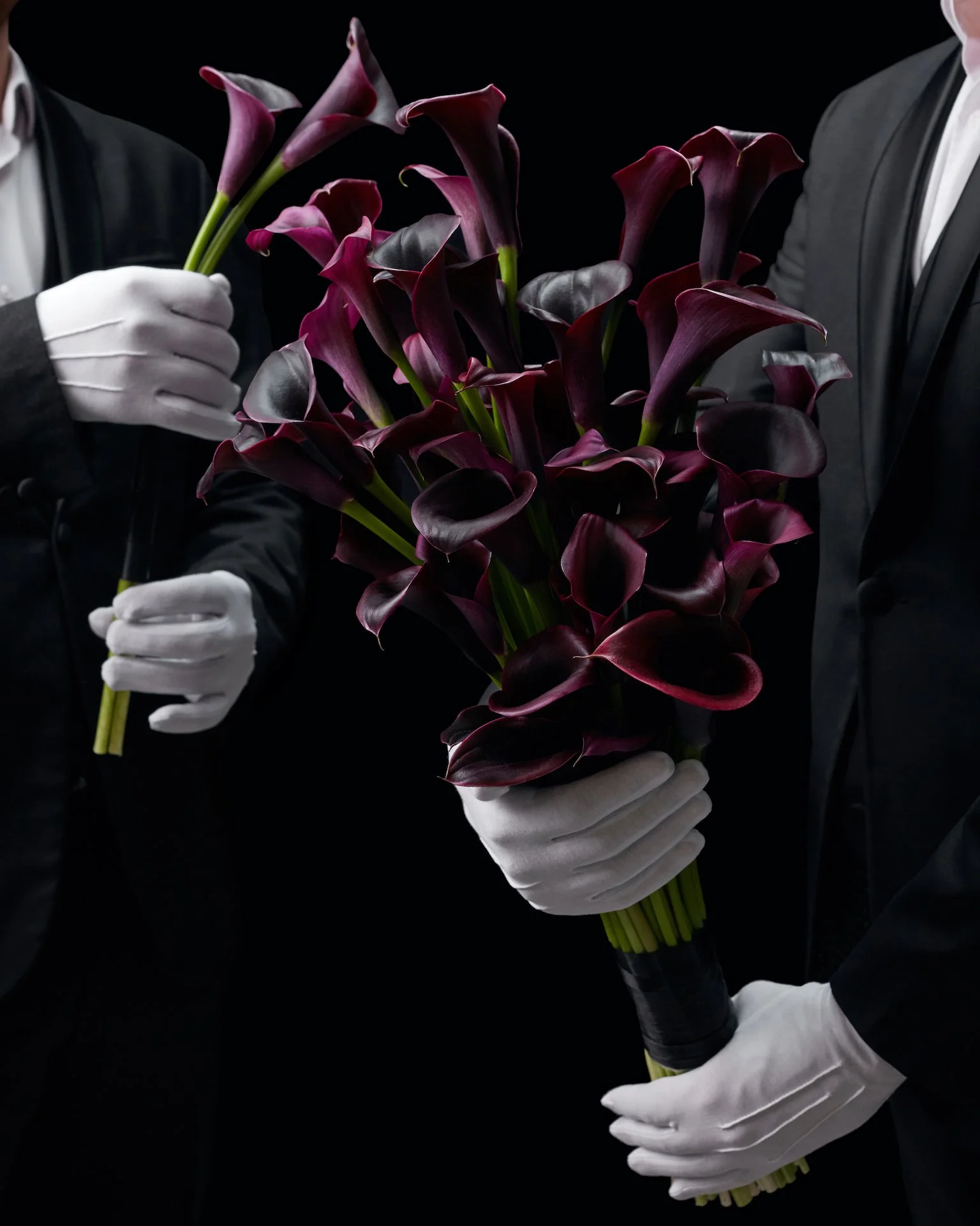 A bouquet of calla lilies