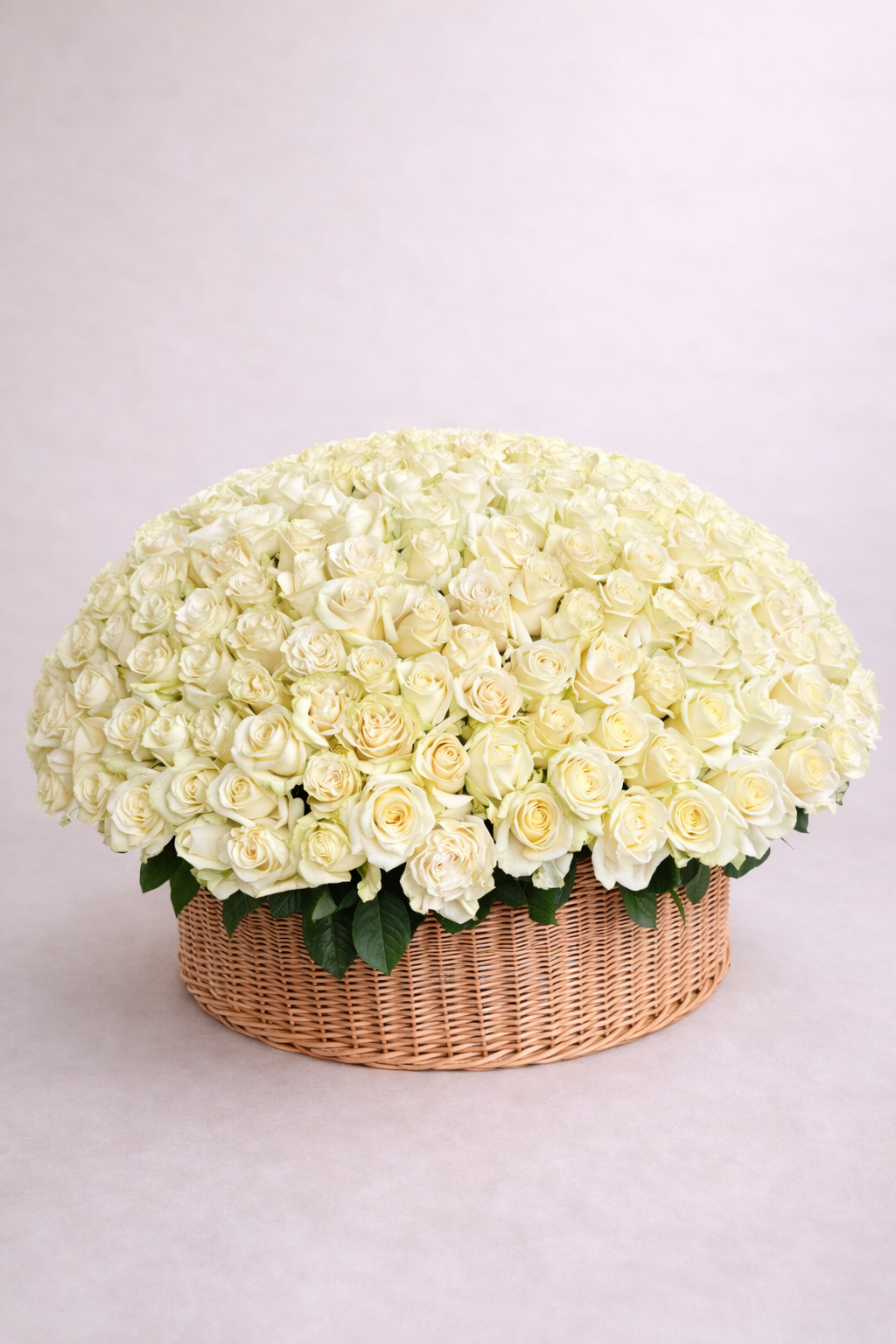 300 roses blanches dans un panier