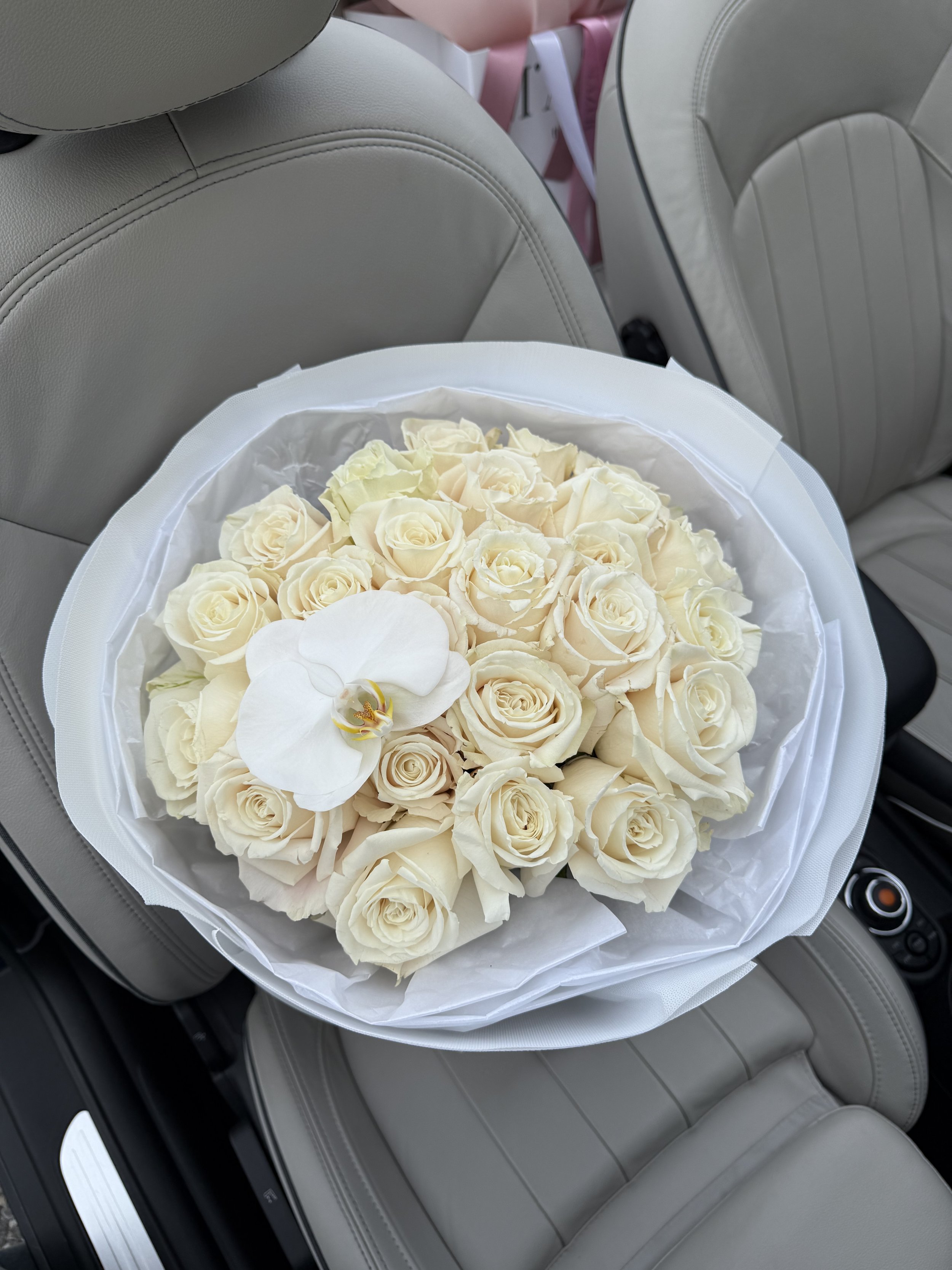 IMG_4164.jpeg (Copie)