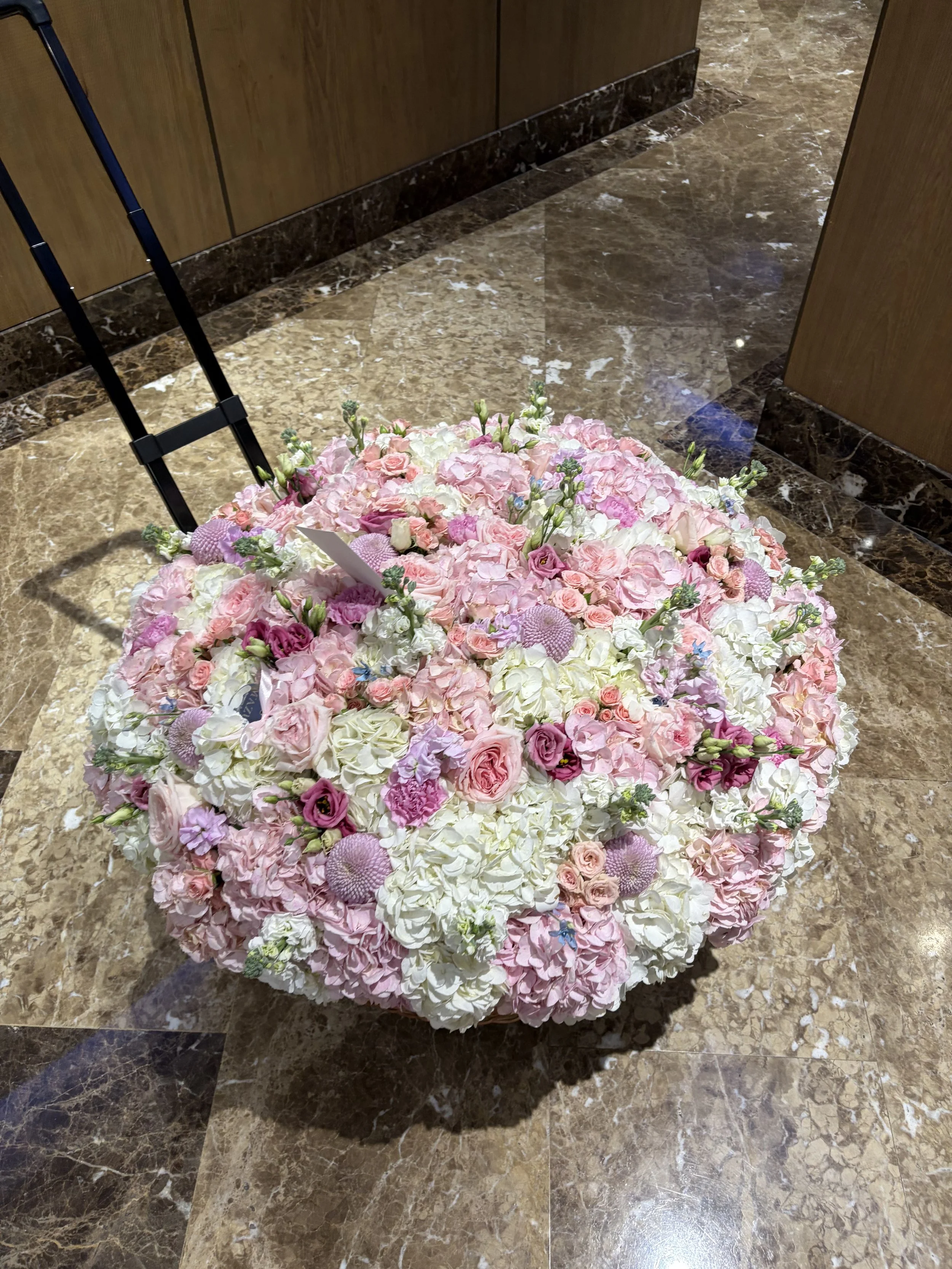 IMG_3693.jpeg (Copie)