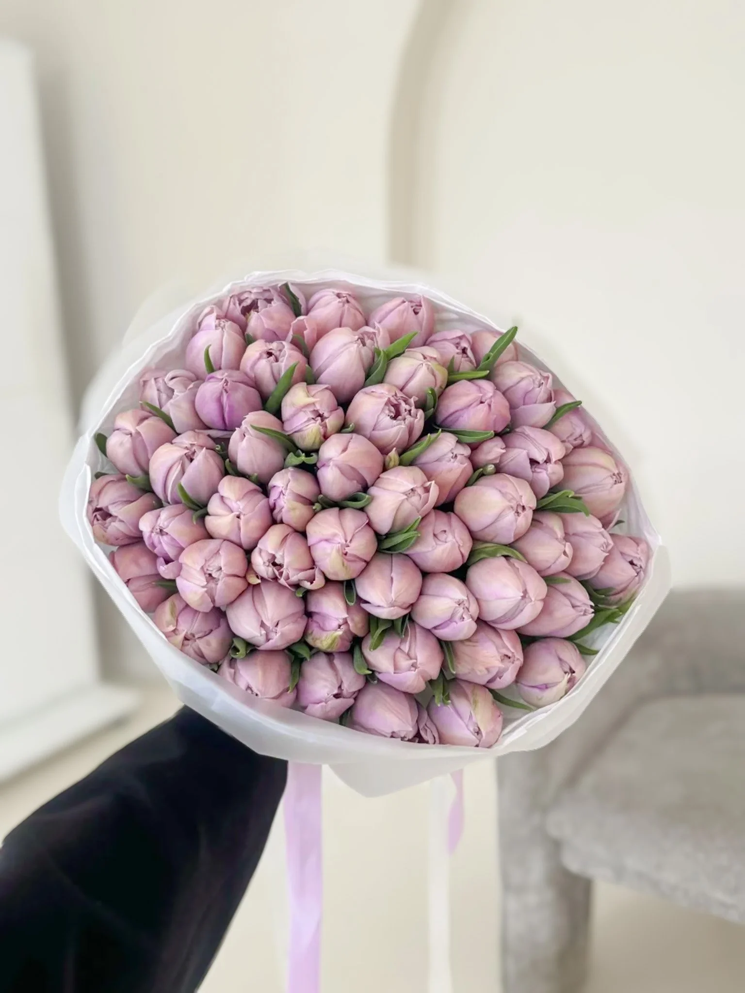 Copy of ec483a70a5231299e861a764f3e064a2.jpg