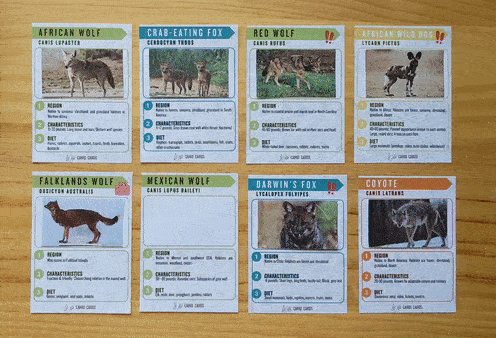 Wild Canid Cards