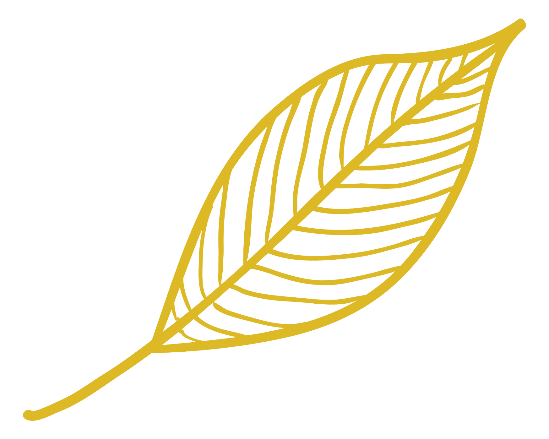 A stylized gold wireframe illustration of a leaf on a black background.