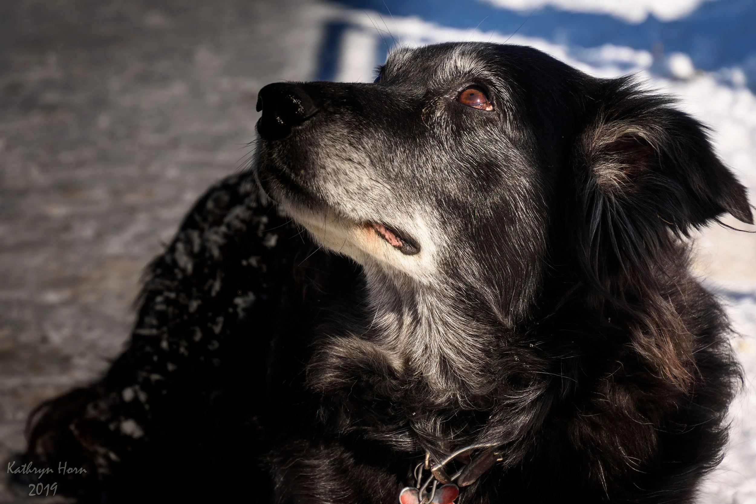 Darla Edwards 022319 8 LR.web.jpg