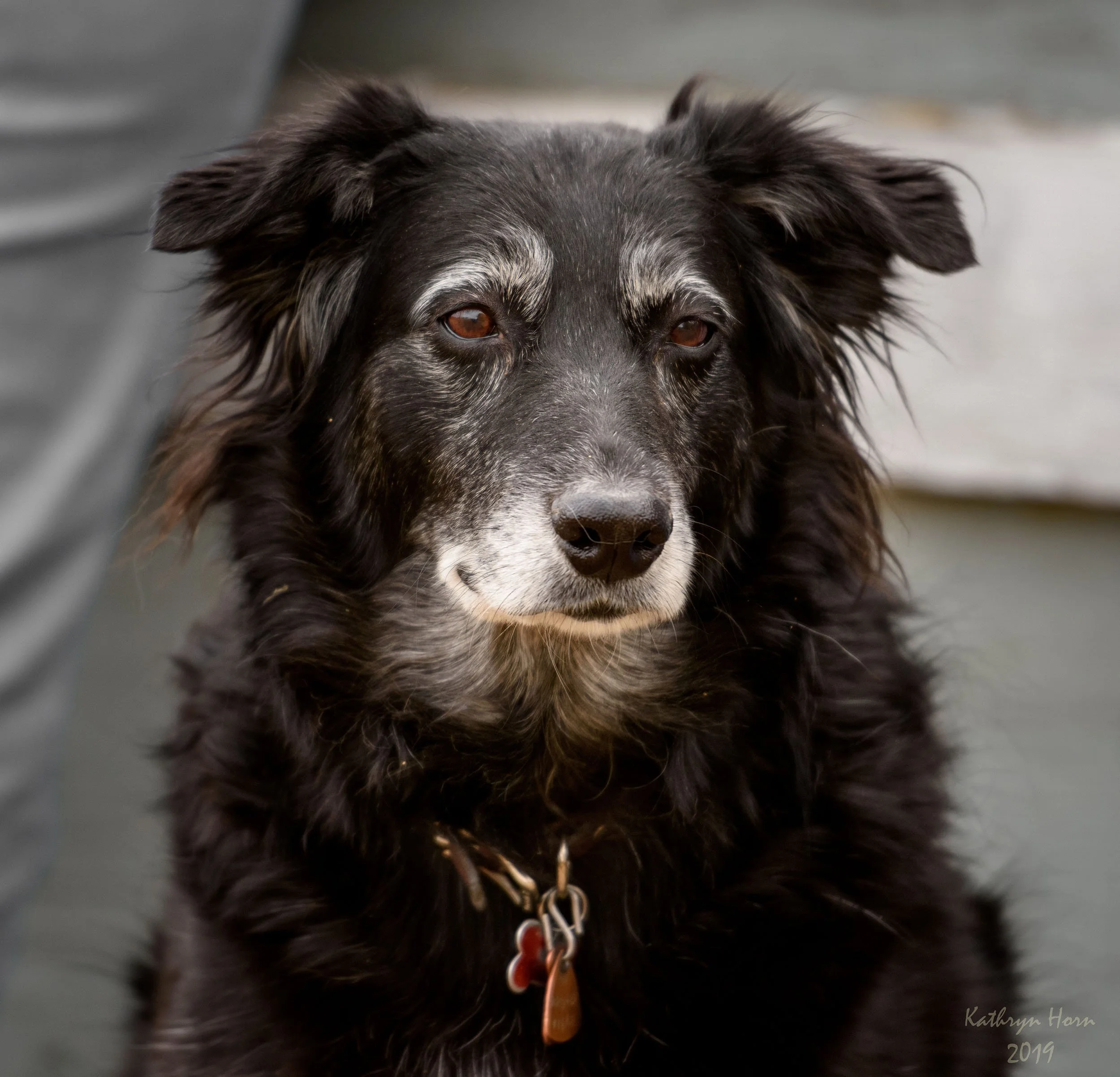 Darla Edwards 011119 2 LR-H.web.jpg