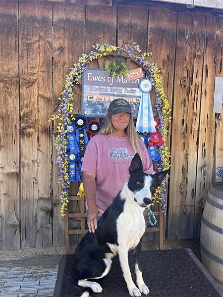 New AHBA Herding Champion "Zippy"