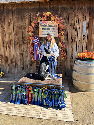 "Comstock trial" 2025, Zip, High Combined open Other Breed, High In Trial cattle