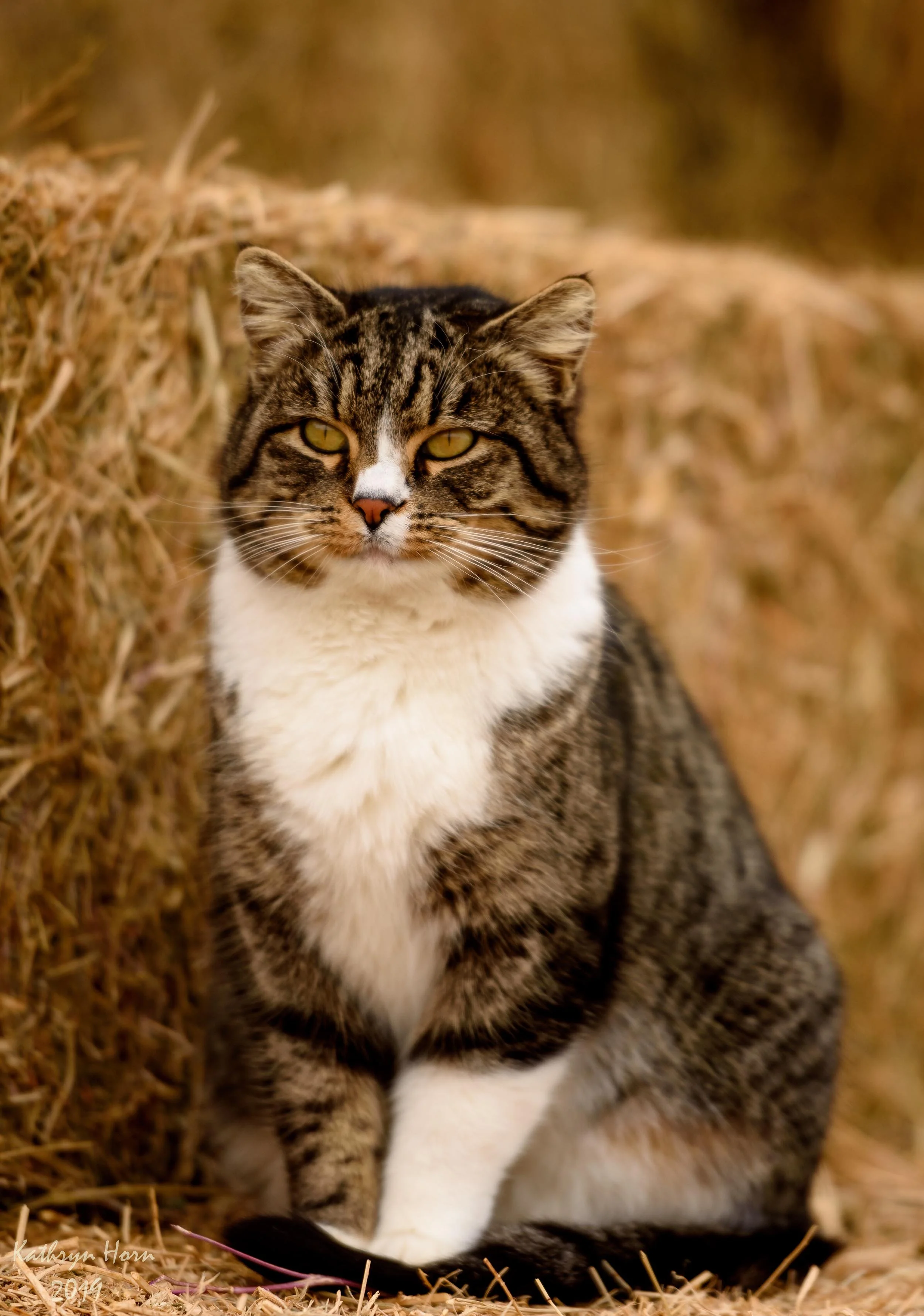 Cat Edwards 011119 4 LR - Copy.web.jpg