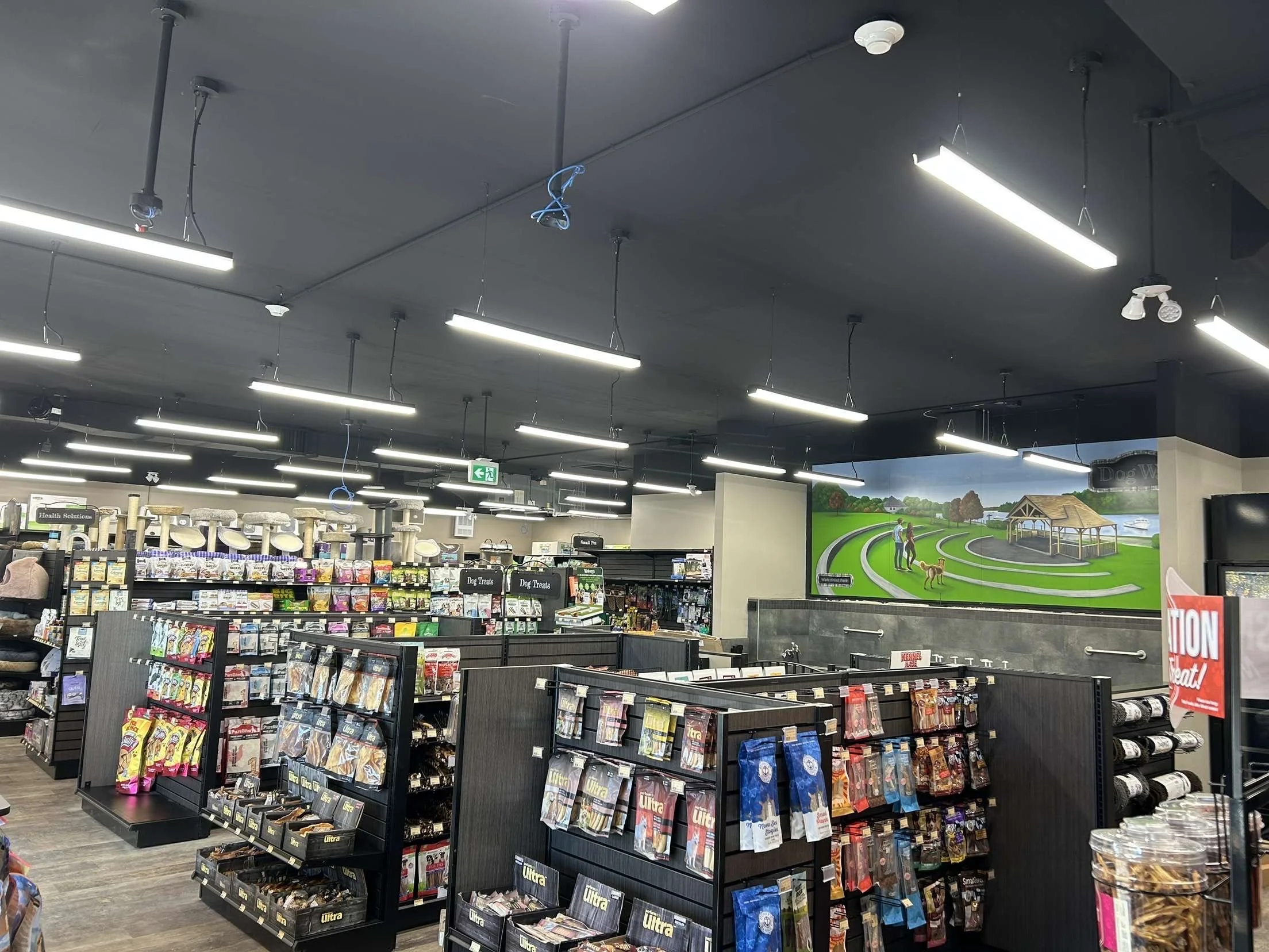 image_123650291 (4).JPG