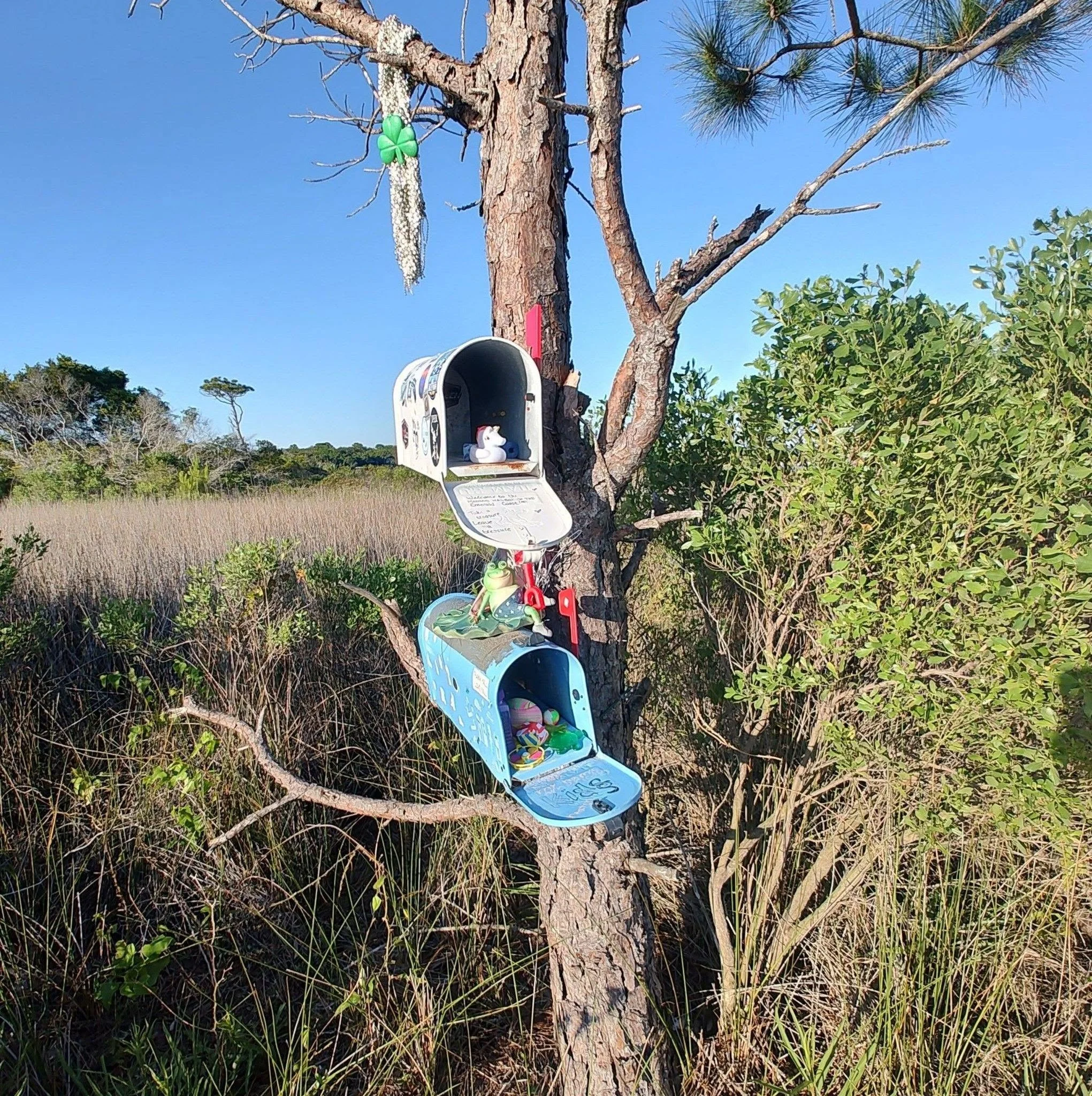 mermaid mailbox.jpg