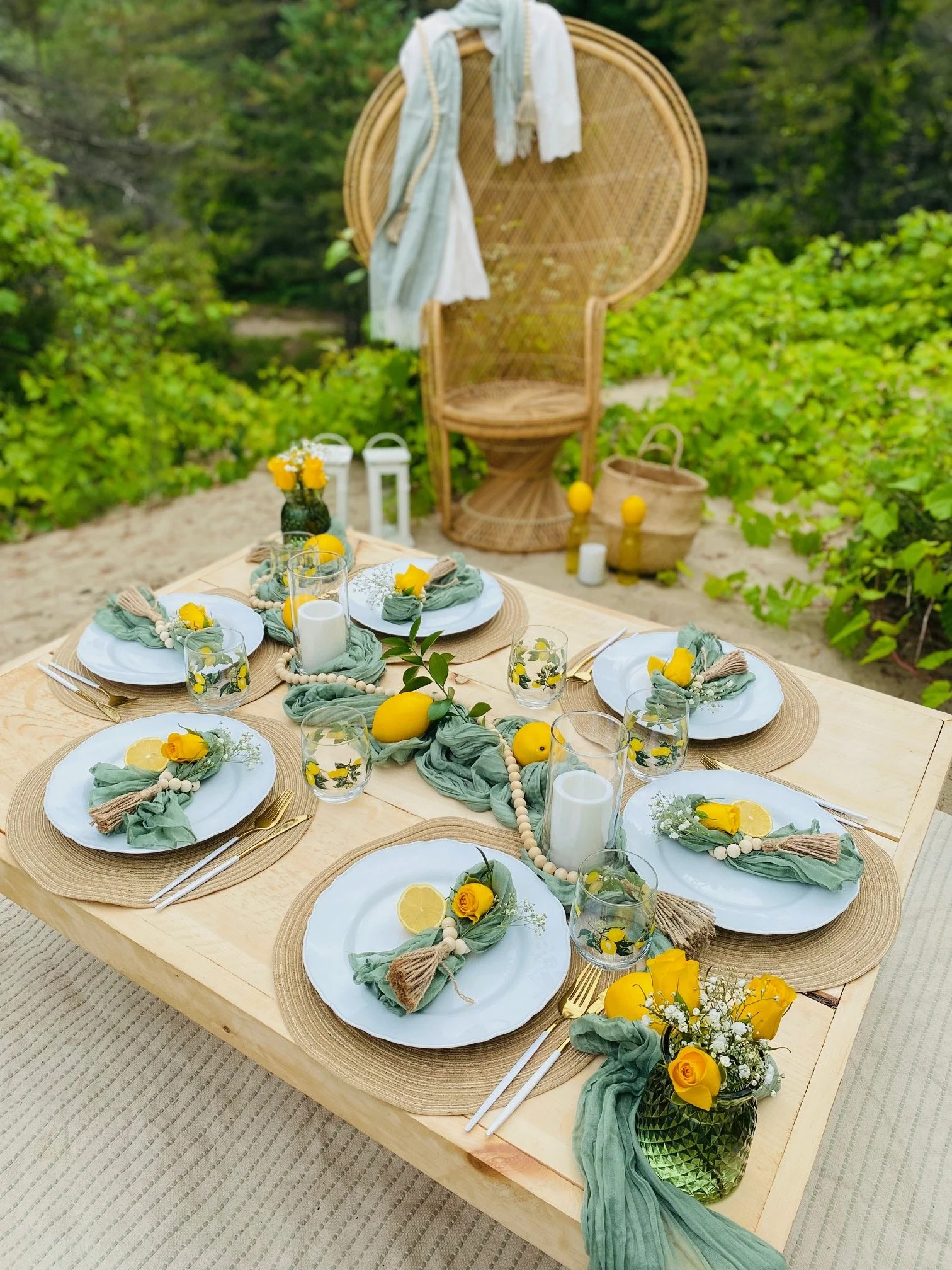 Luxury Picnic in Wasaga Beach and Collingwood