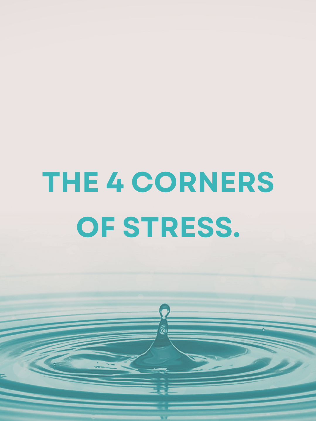 SPECS:&nbsp;The 4 Corners of Stress